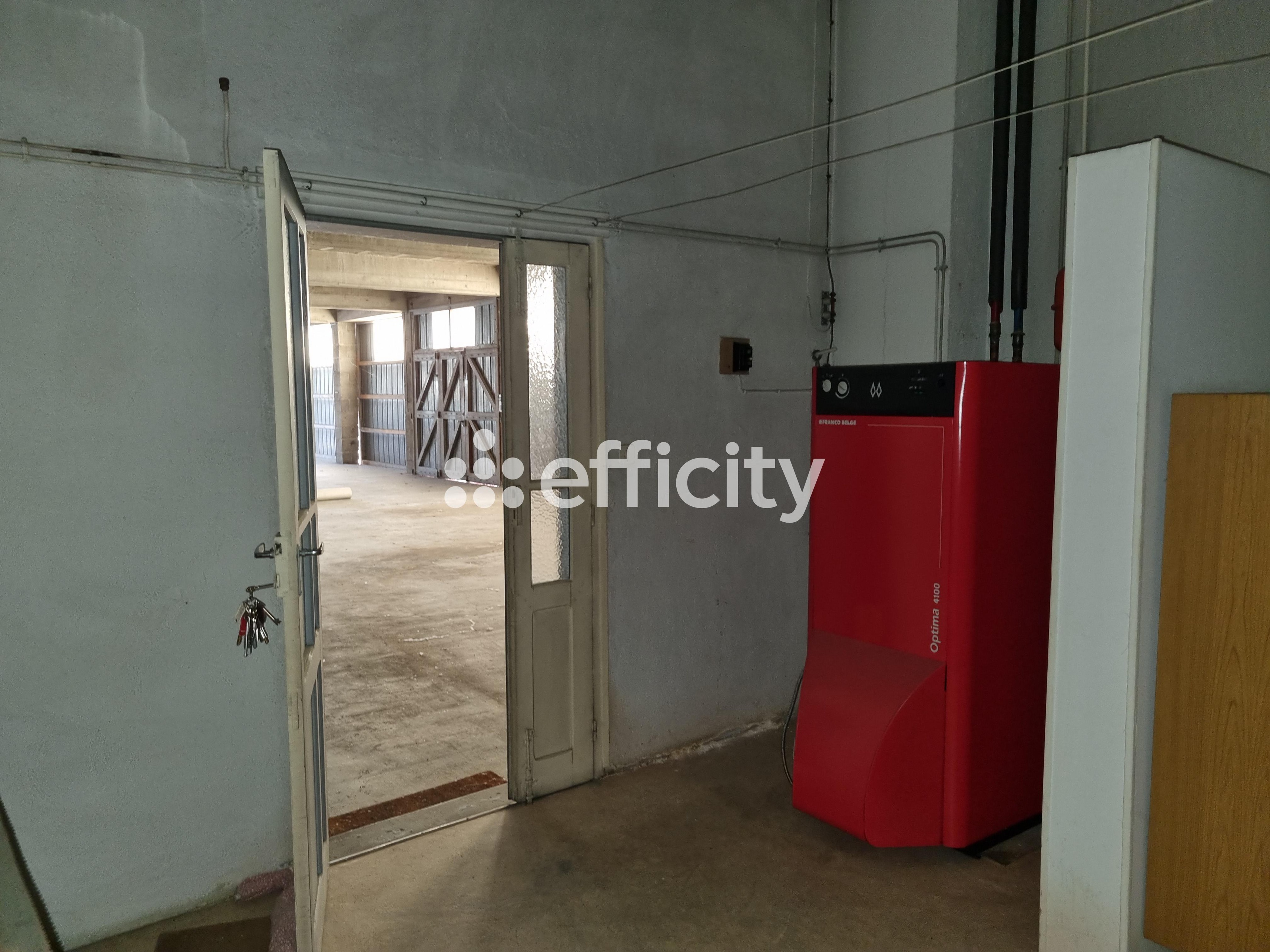 Achat immobilier Maison 7 pièces  140m2 à Le Malzieu-Ville (48140) - Photo n°14