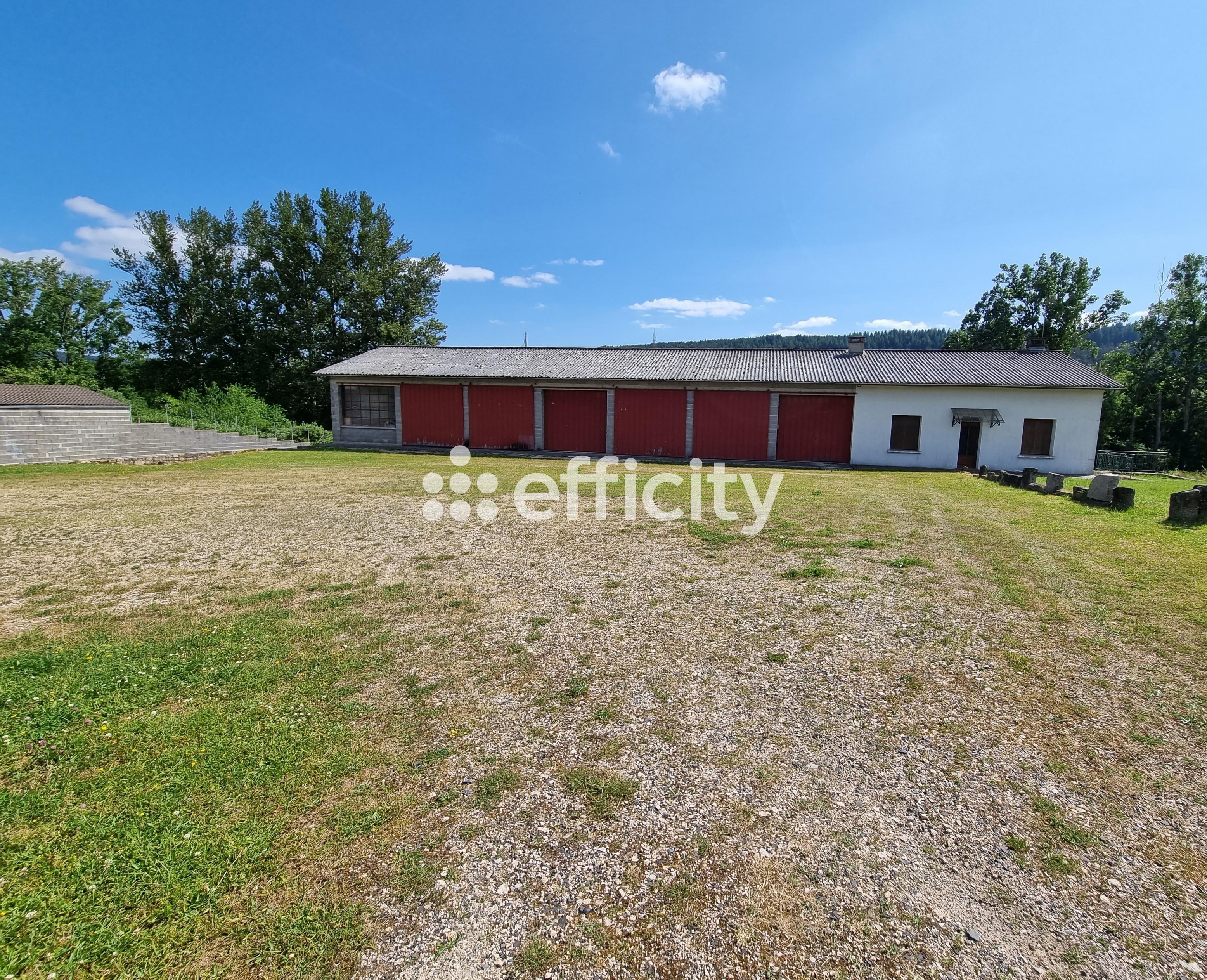 Achat immobilier Maison 7 pièces  140m2 à Le Malzieu-Ville (48140) - Photo n°1
