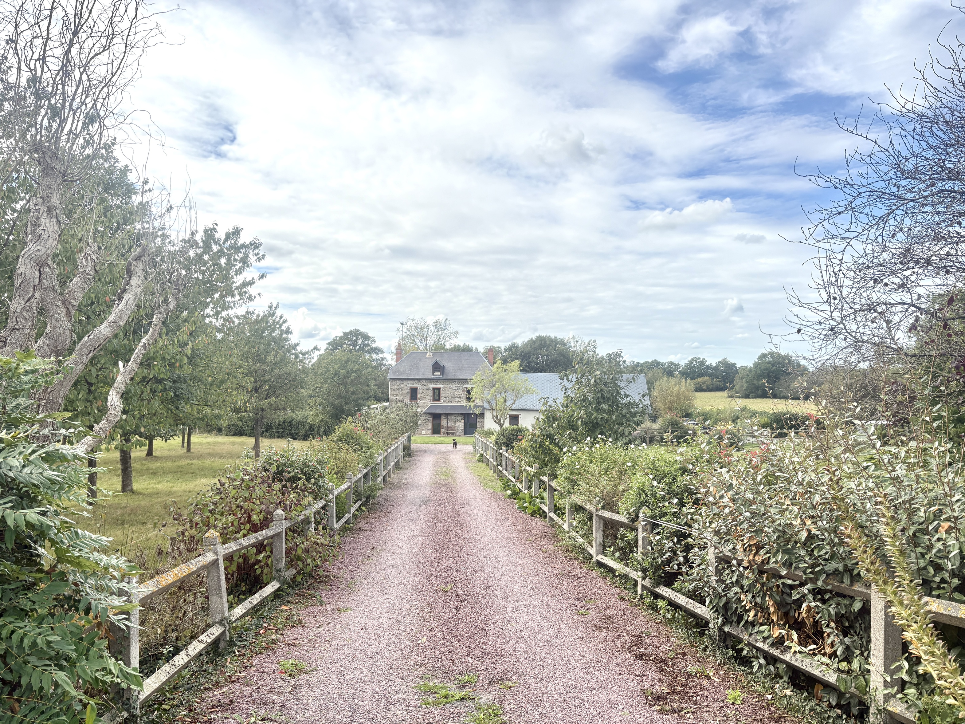 maison 5 pièces - 160m2 à Torigny-les-Villes (50160)