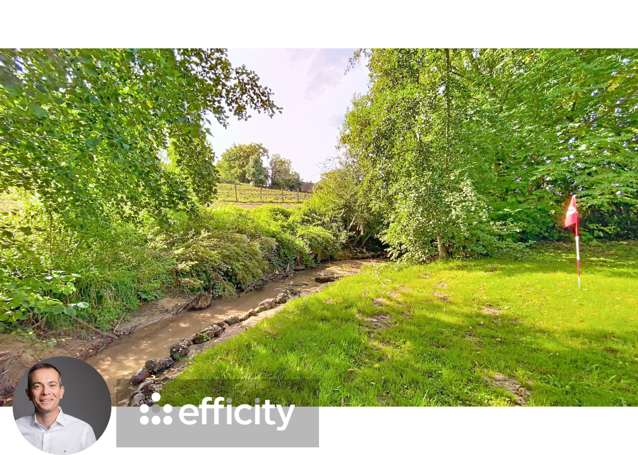 Achat immobilier Maison 8 pièces  220m2 à Besson (03210) - Photo n°6