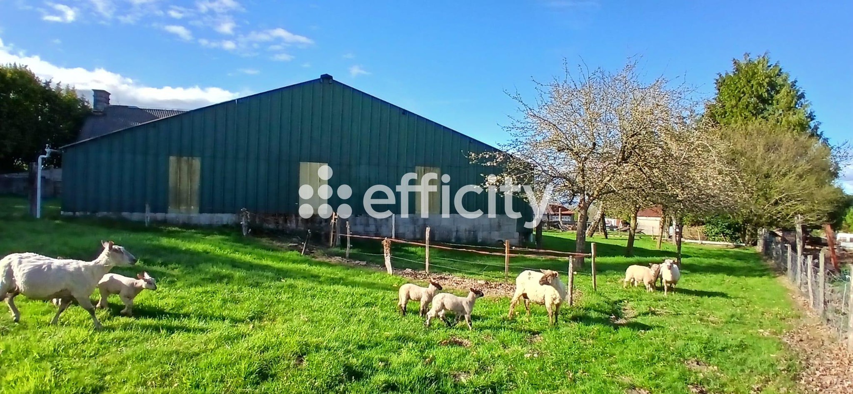 Achat immobilier Maison 4 pièces  110m2 à Noues de Sienne (14380) - Photo n°22