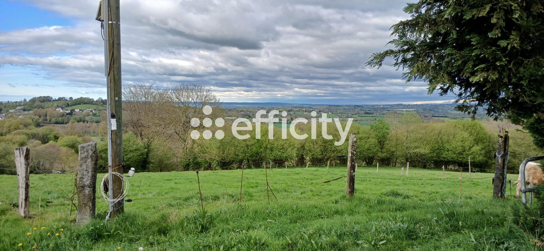 Achat immobilier Maison 4 pièces  110m2 à Noues de Sienne (14380) - Photo n°29