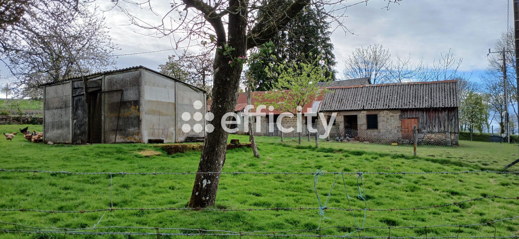Achat immobilier Maison 4 pièces  110m2 à Noues de Sienne (14380) - Photo n°31