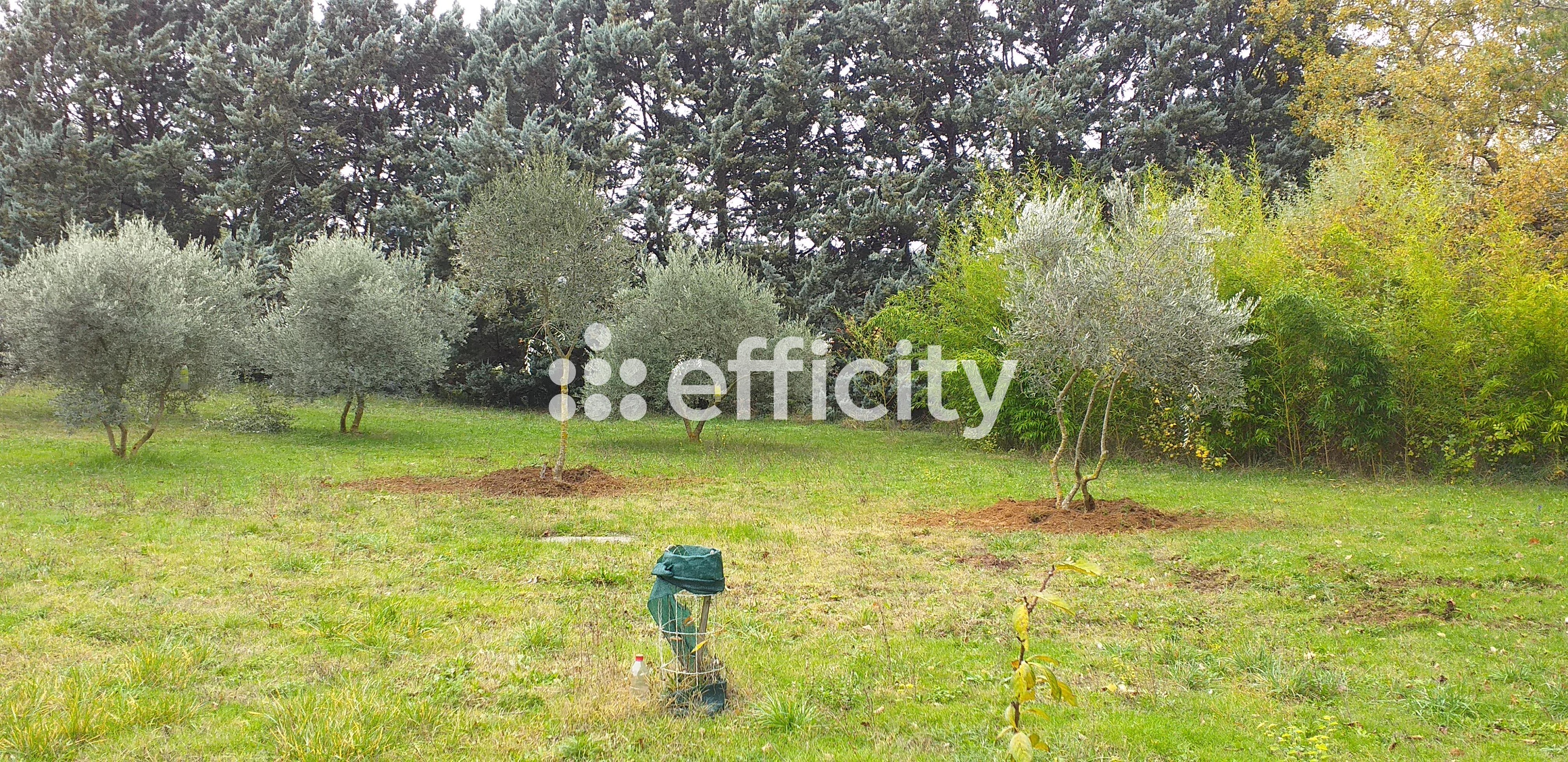 Achat immobilier Maison 5 pièces  103m2 à Apt (84400) - Photo n°13