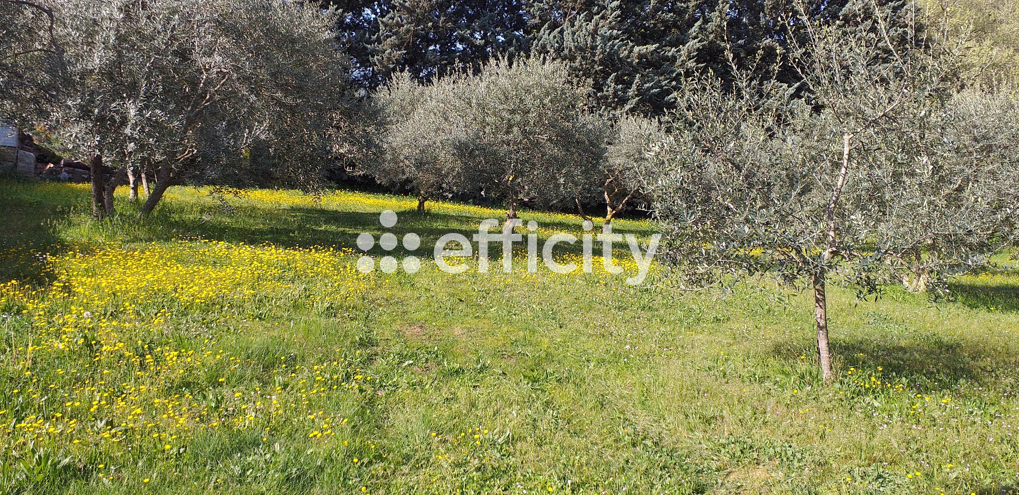 Achat immobilier Maison 5 pièces  103m2 à Apt (84400) - Photo n°14