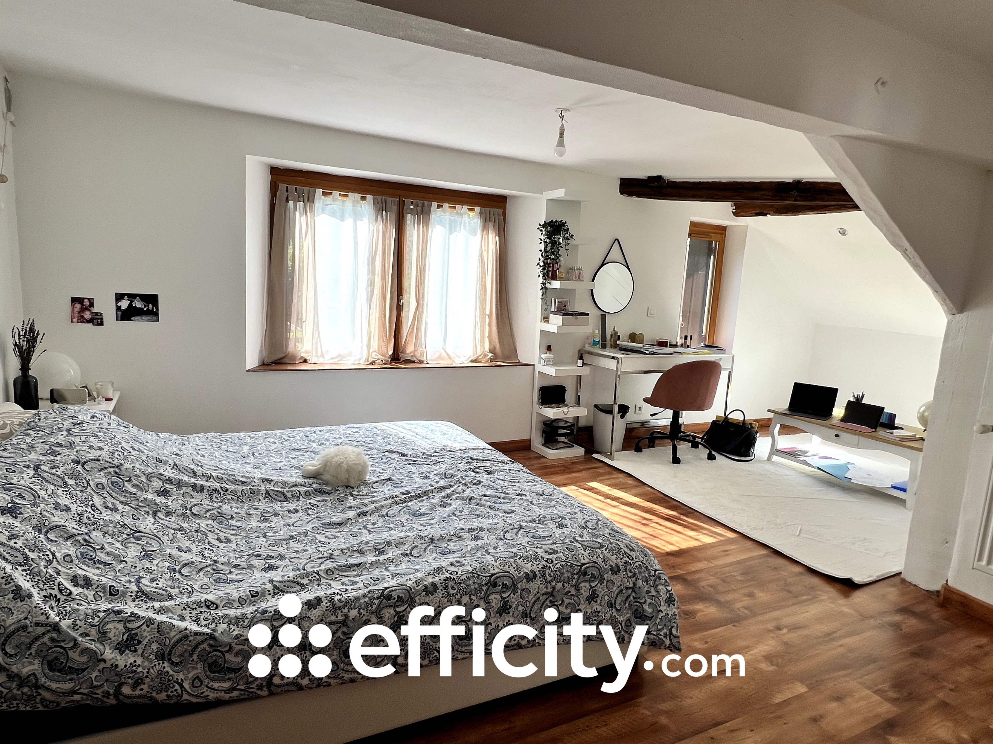 Achat immobilier Maison 10 pièces  266m2 à Saint-Germain (10120) - Photo n°4