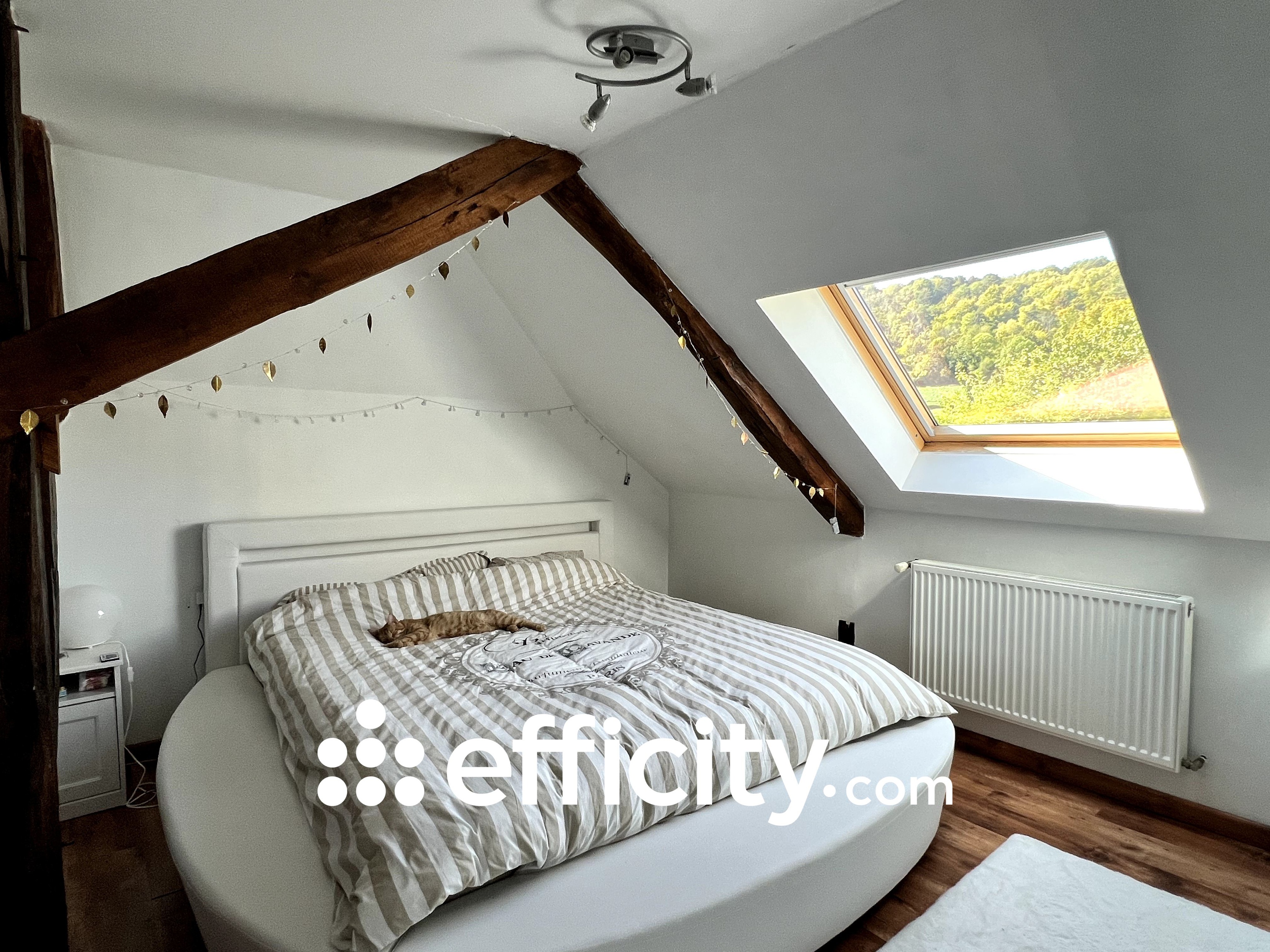 Achat immobilier Maison 10 pièces  266m2 à Saint-Germain (10120) - Photo n°12