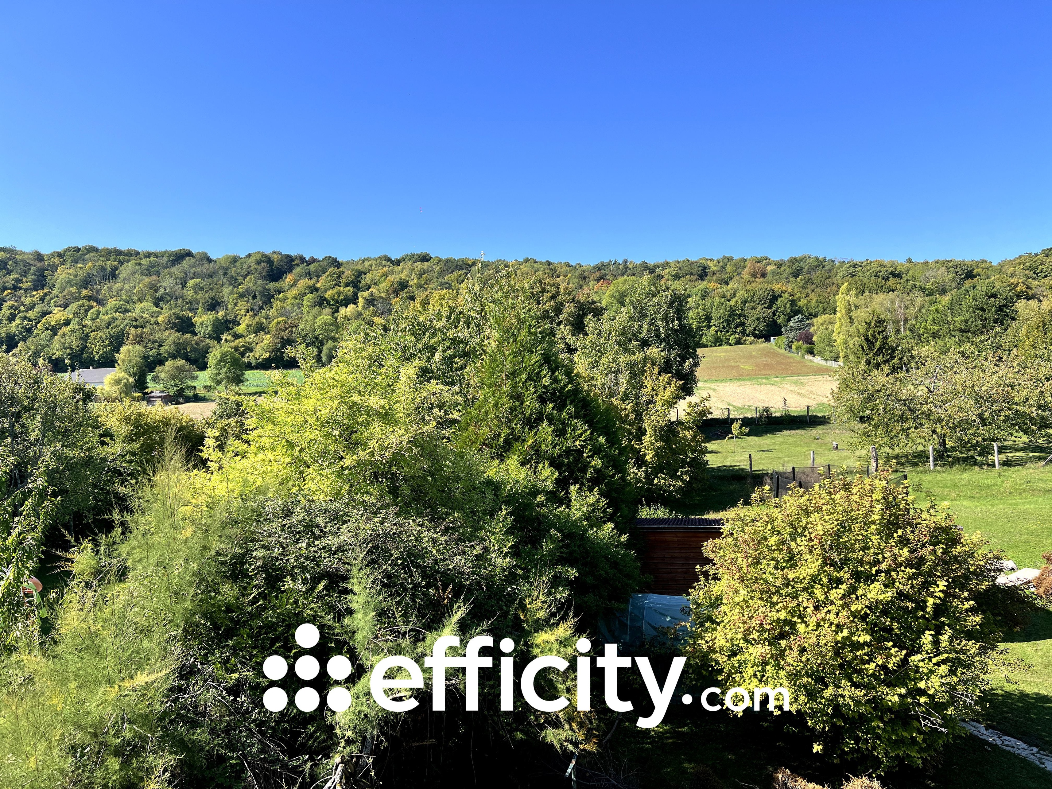 Achat immobilier Maison 10 pièces  266m2 à Saint-Germain (10120) - Photo n°17