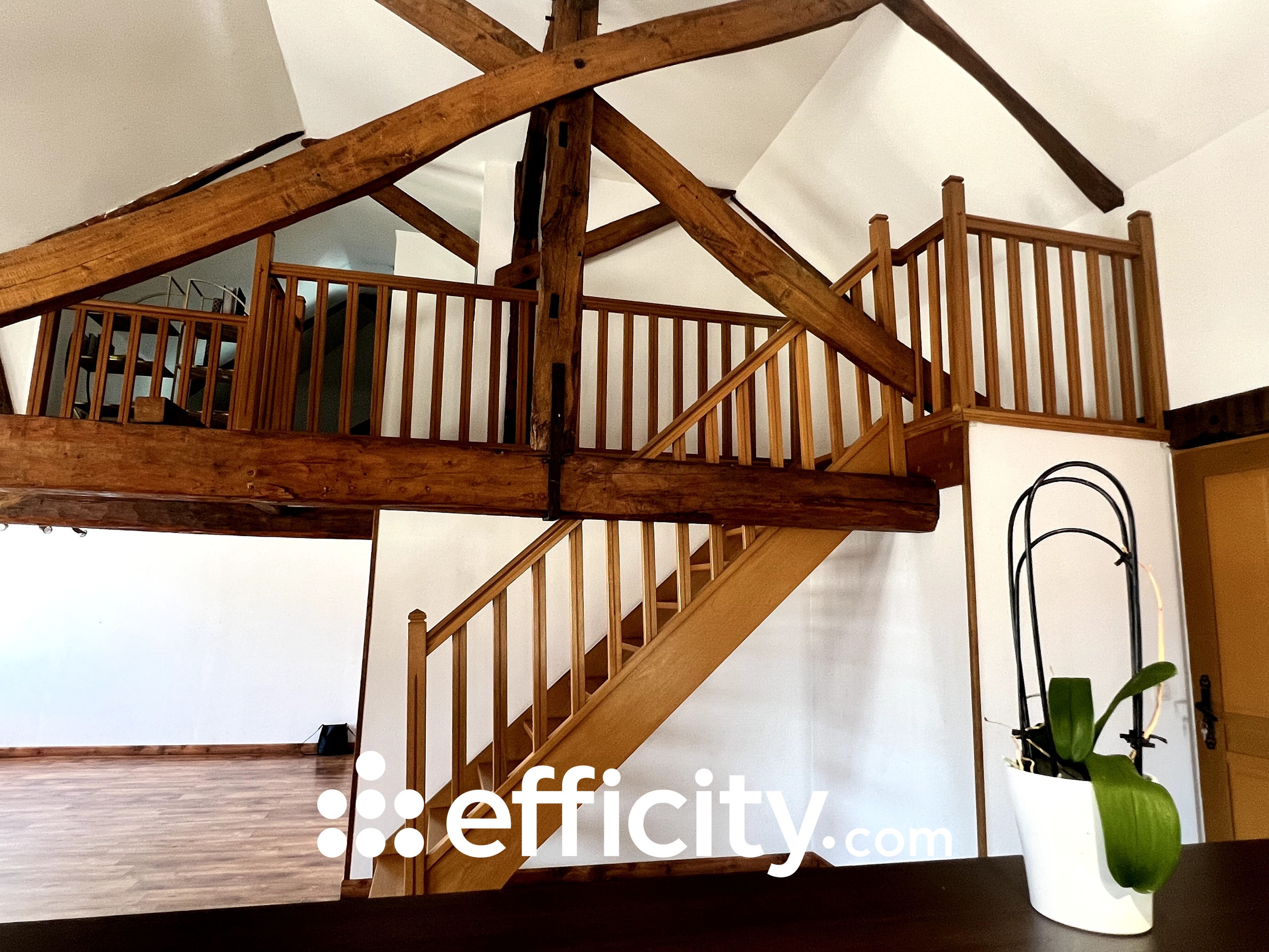 Achat immobilier Maison 10 pièces  266m2 à Saint-Germain (10120) - Photo n°14