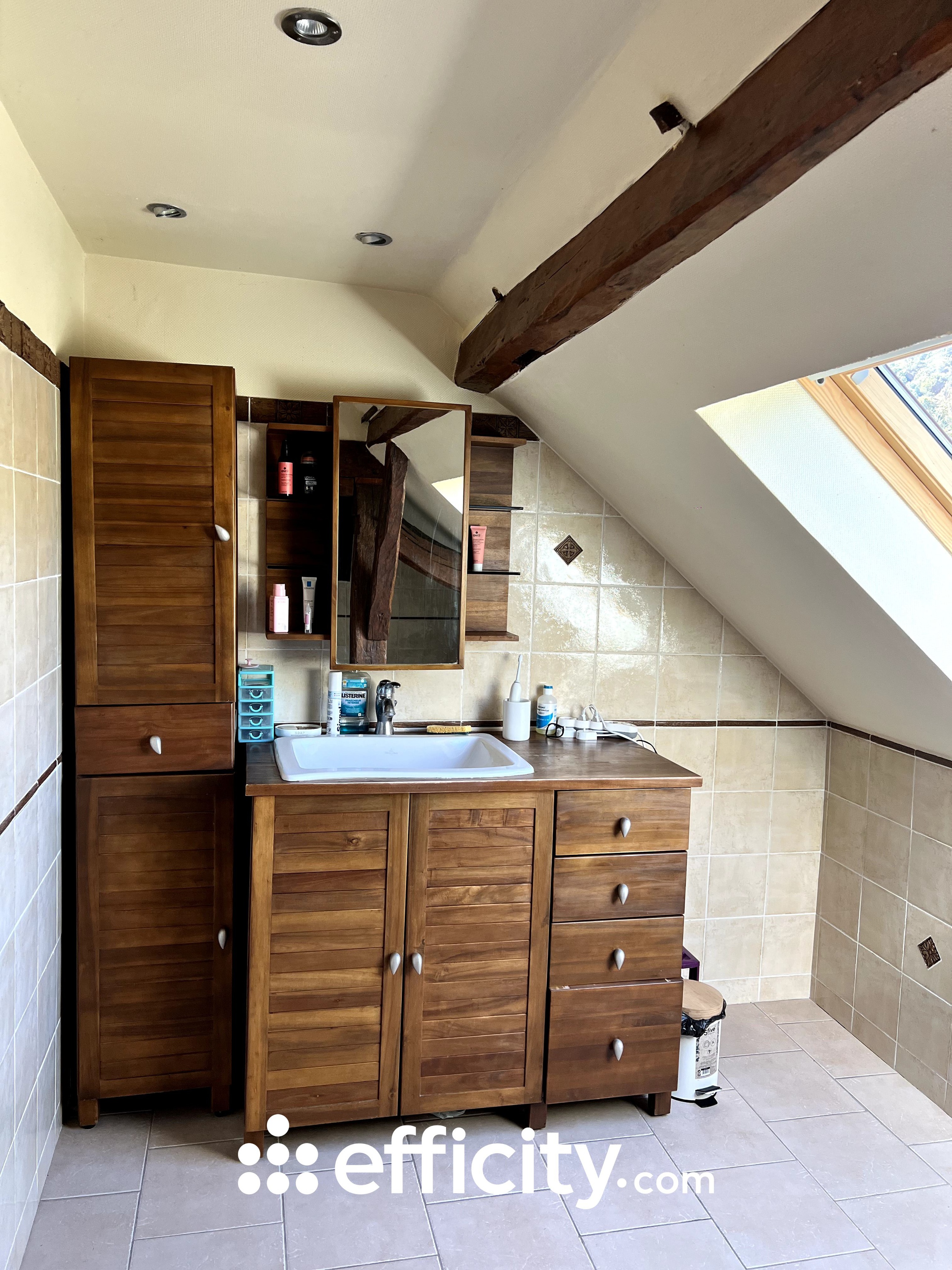 Achat immobilier Maison 10 pièces  266m2 à Saint-Germain (10120) - Photo n°15