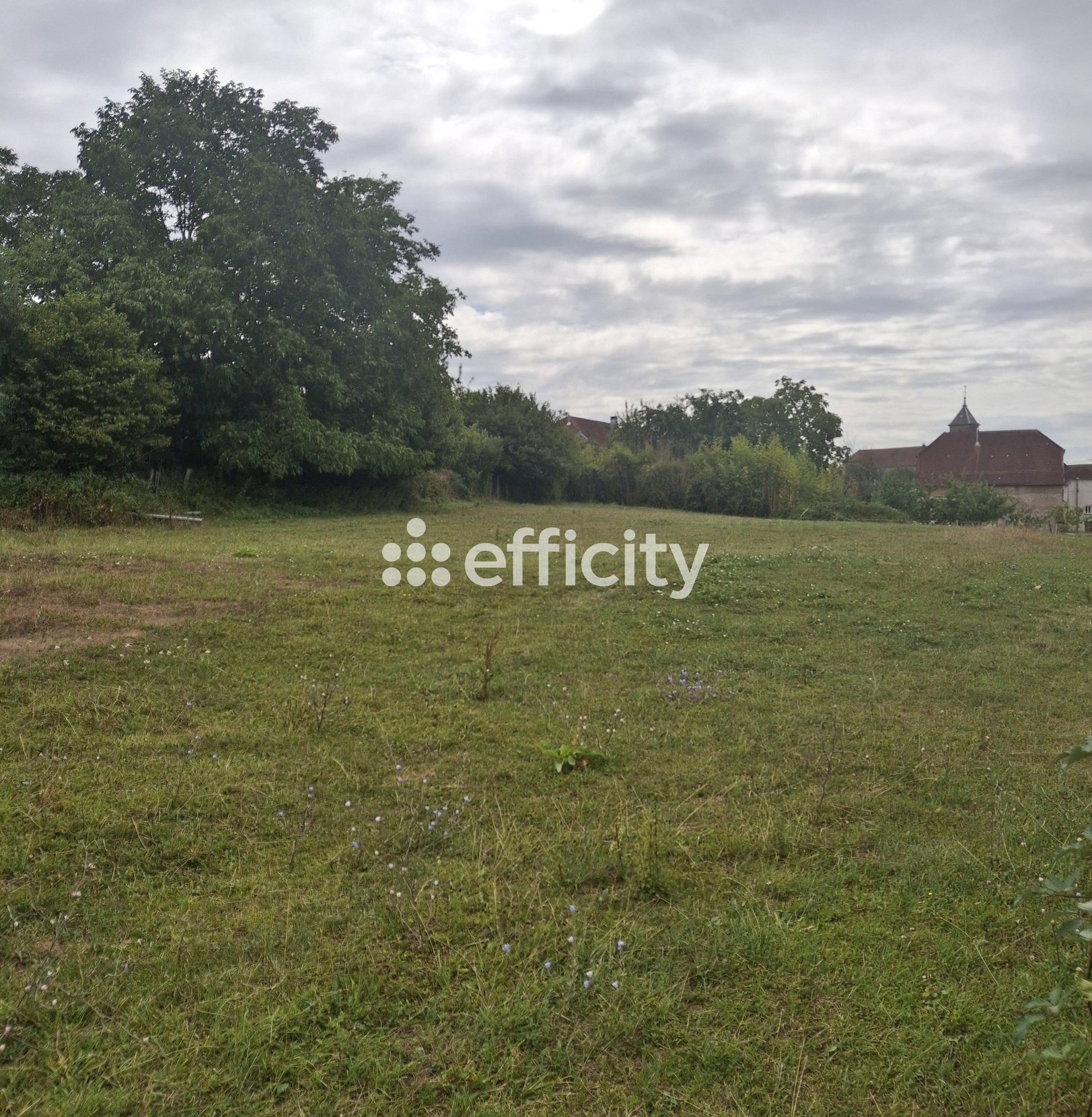 terrain  - 1460,0m2 à Cognières (70230)