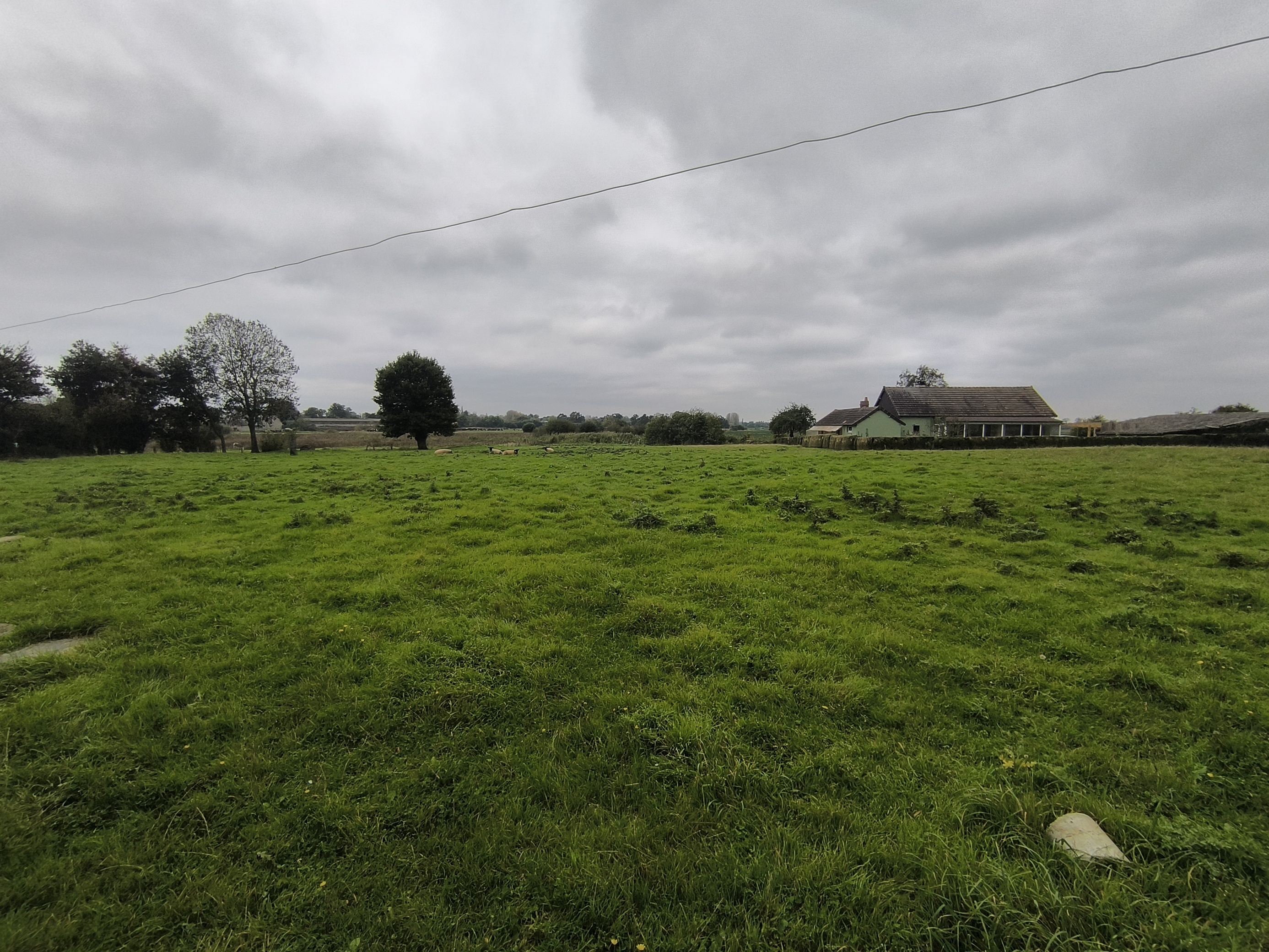 Achat immobilier Maison 6 pièces  151m2 à Tribehou (50620) - Photo n°9