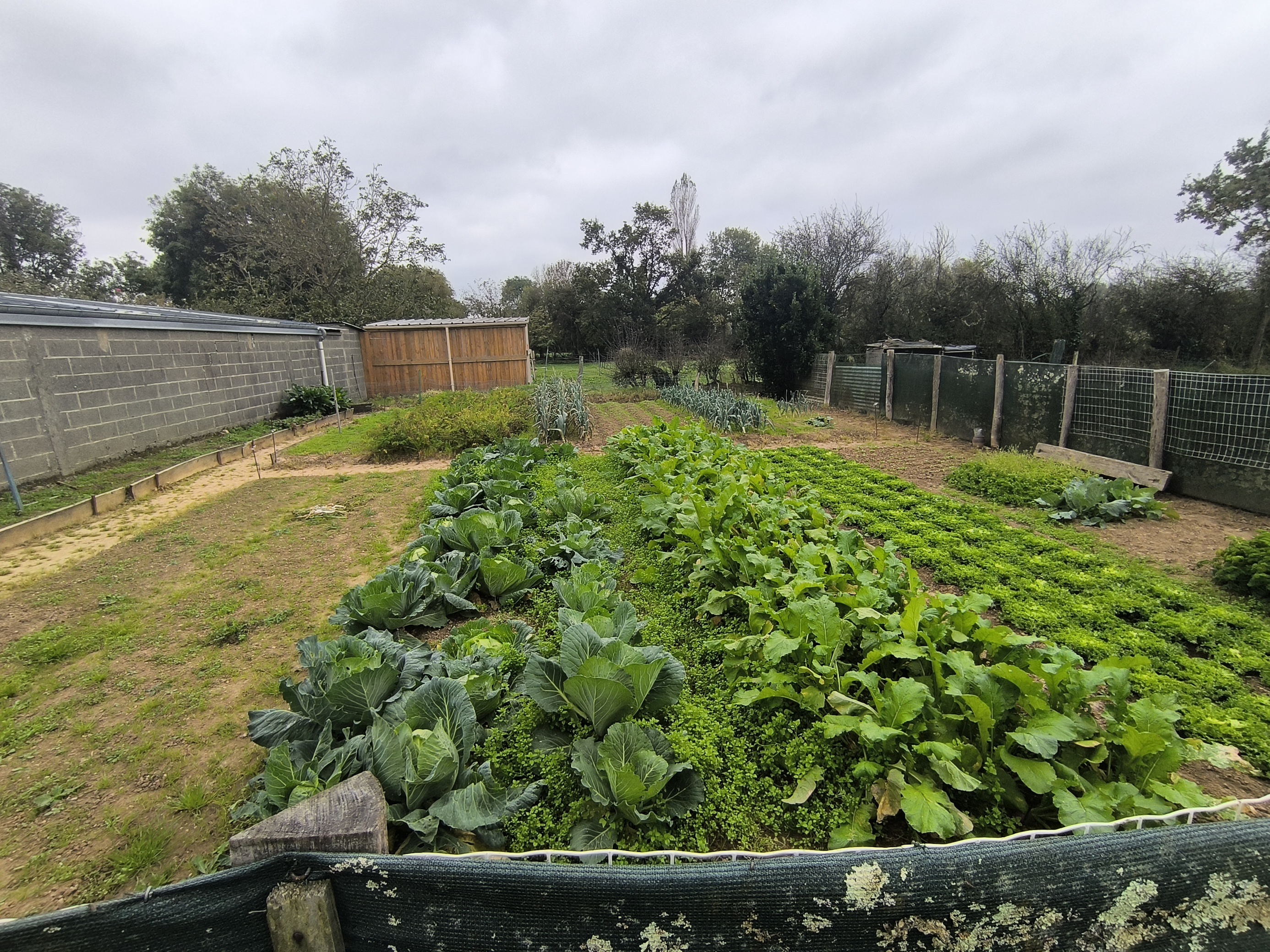 Achat immobilier Maison 6 pièces  151m2 à Tribehou (50620) - Photo n°10