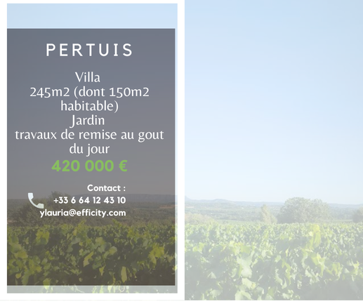 maison 6 pièces - 245m2 à Pertuis (84120)