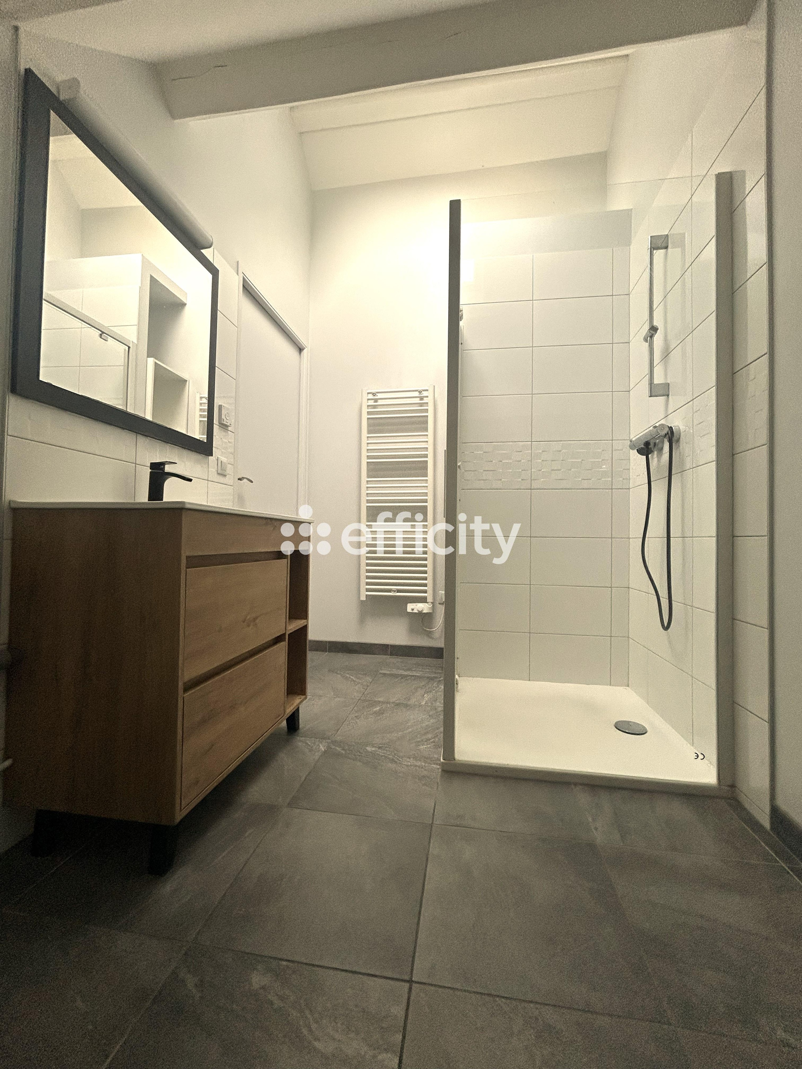 Achat immobilier Maison 6 pièces  160m2 à Roanne (42300) - Photo n°11