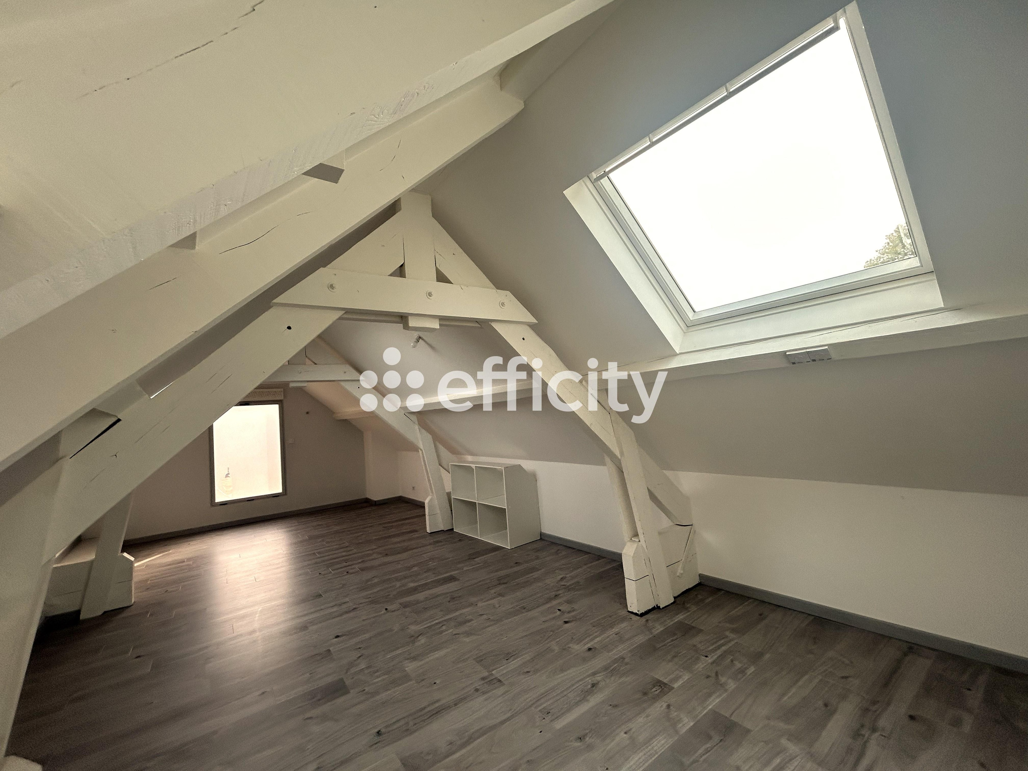 Achat immobilier Maison 6 pièces  160m2 à Roanne (42300) - Photo n°10