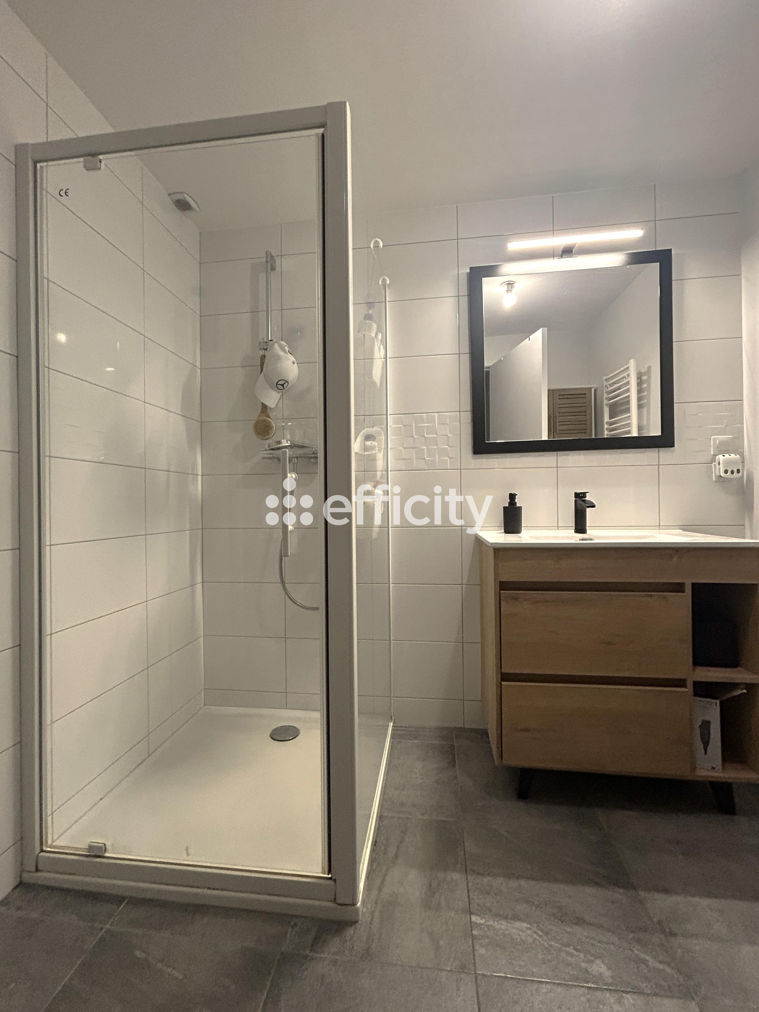 Achat immobilier Maison 6 pièces  160m2 à Roanne (42300) - Photo n°4