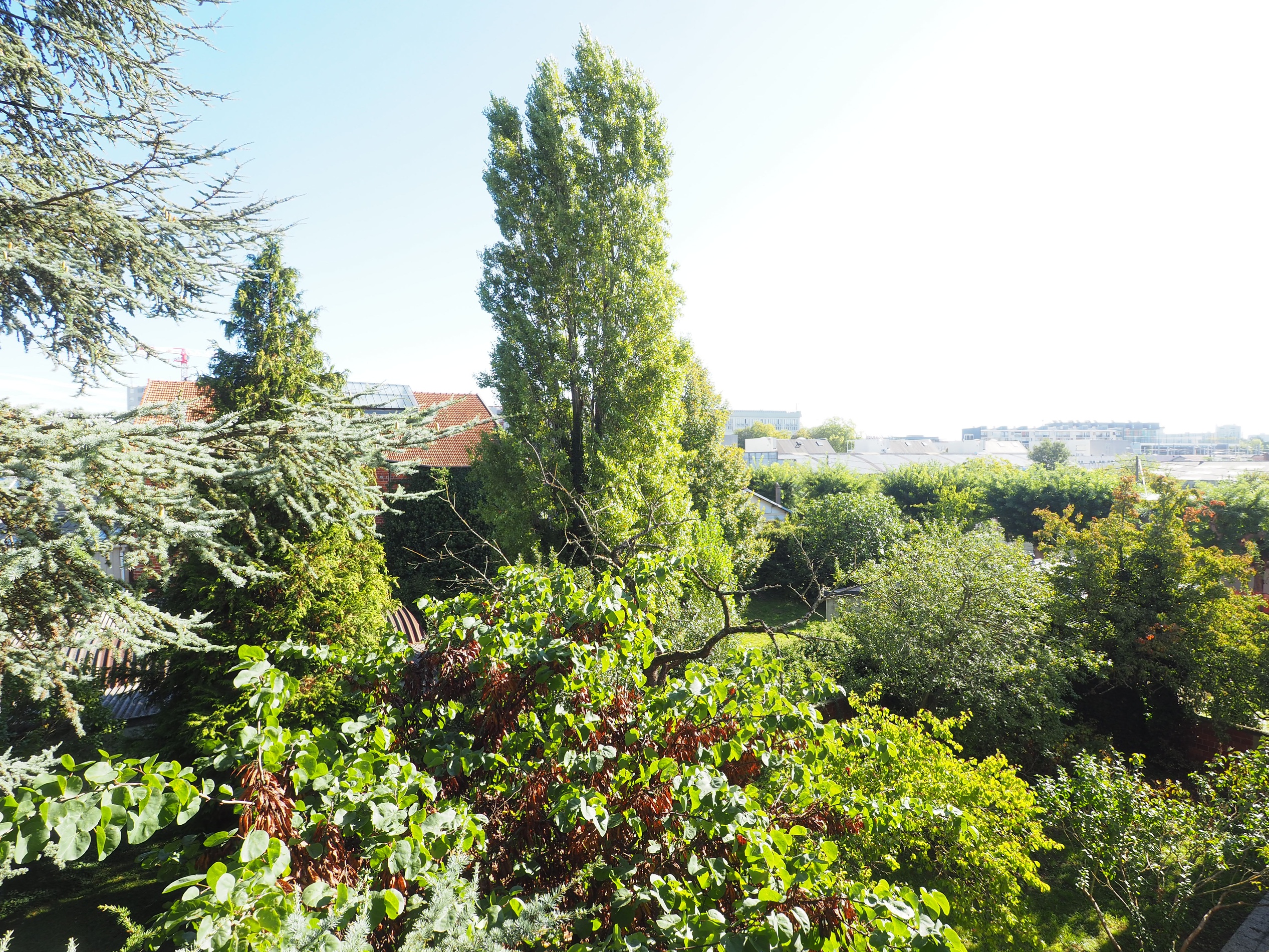 appartement 4 pièces - 84,48m2 à Montreuil (93100)