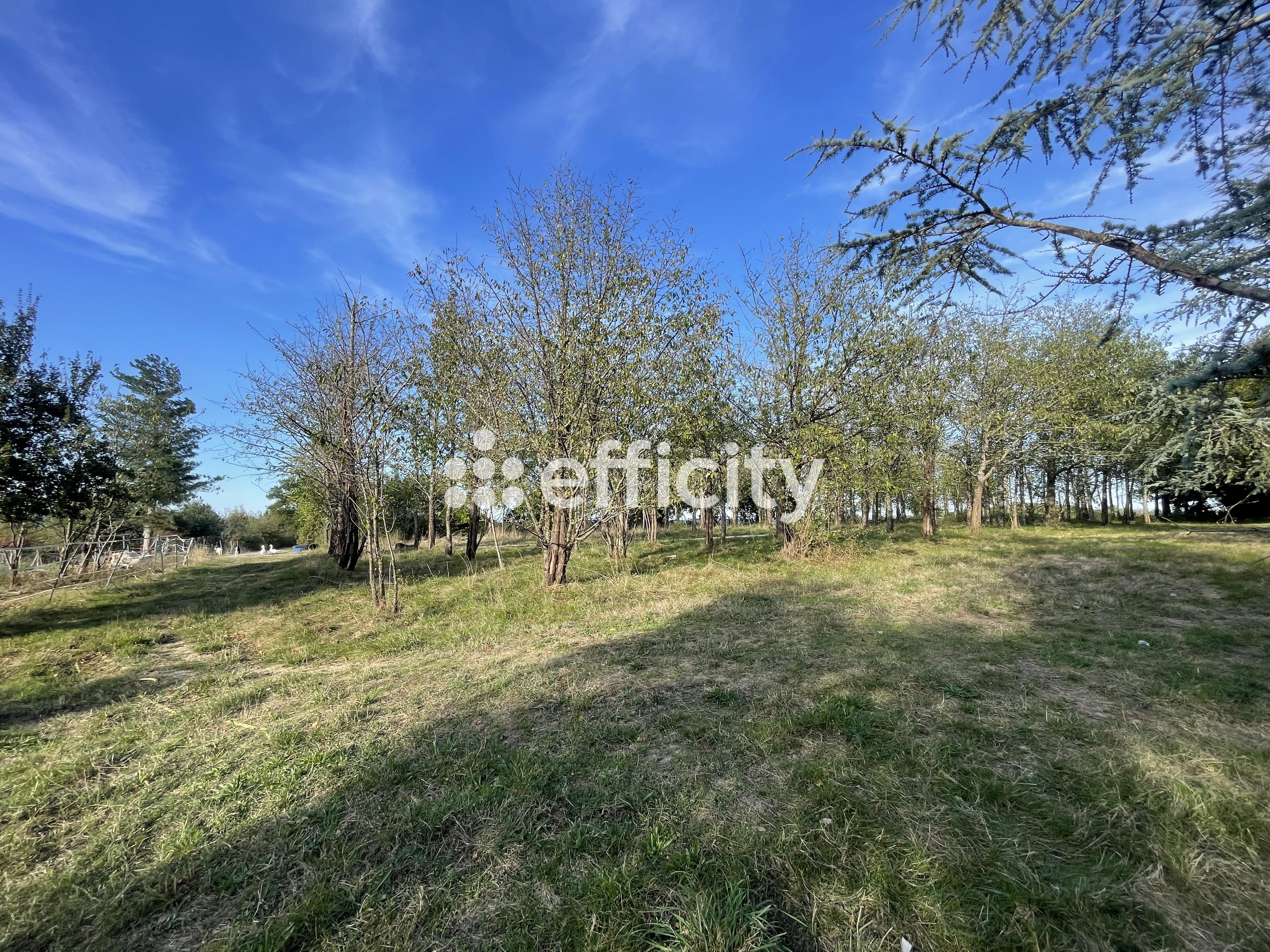 Achat immobilier Maison 9 pièces  388m2 à Saint-Amadou (09100) - Photo n°6