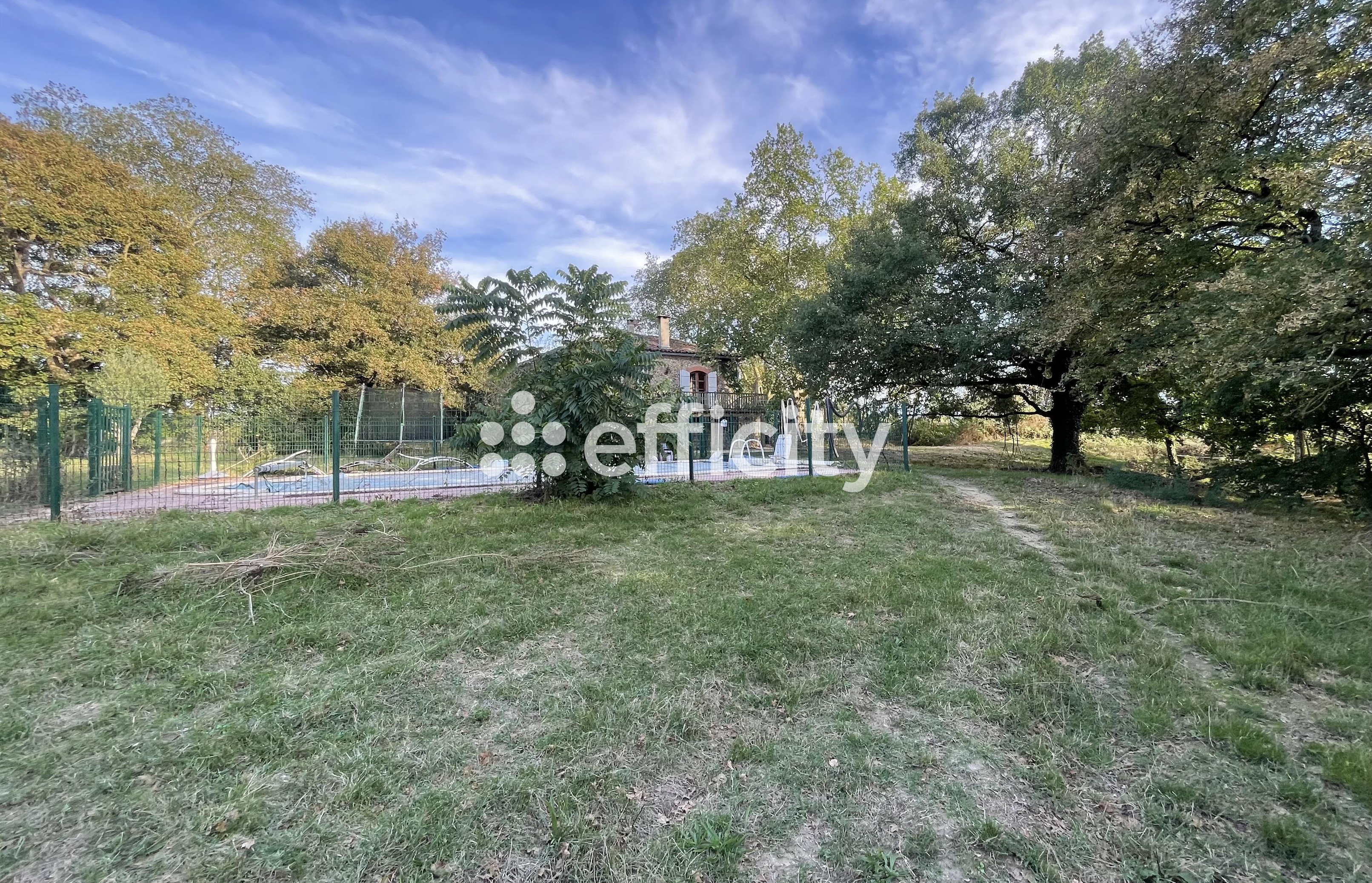 Achat immobilier Maison 9 pièces  388m2 à Saint-Amadou (09100) - Photo n°5