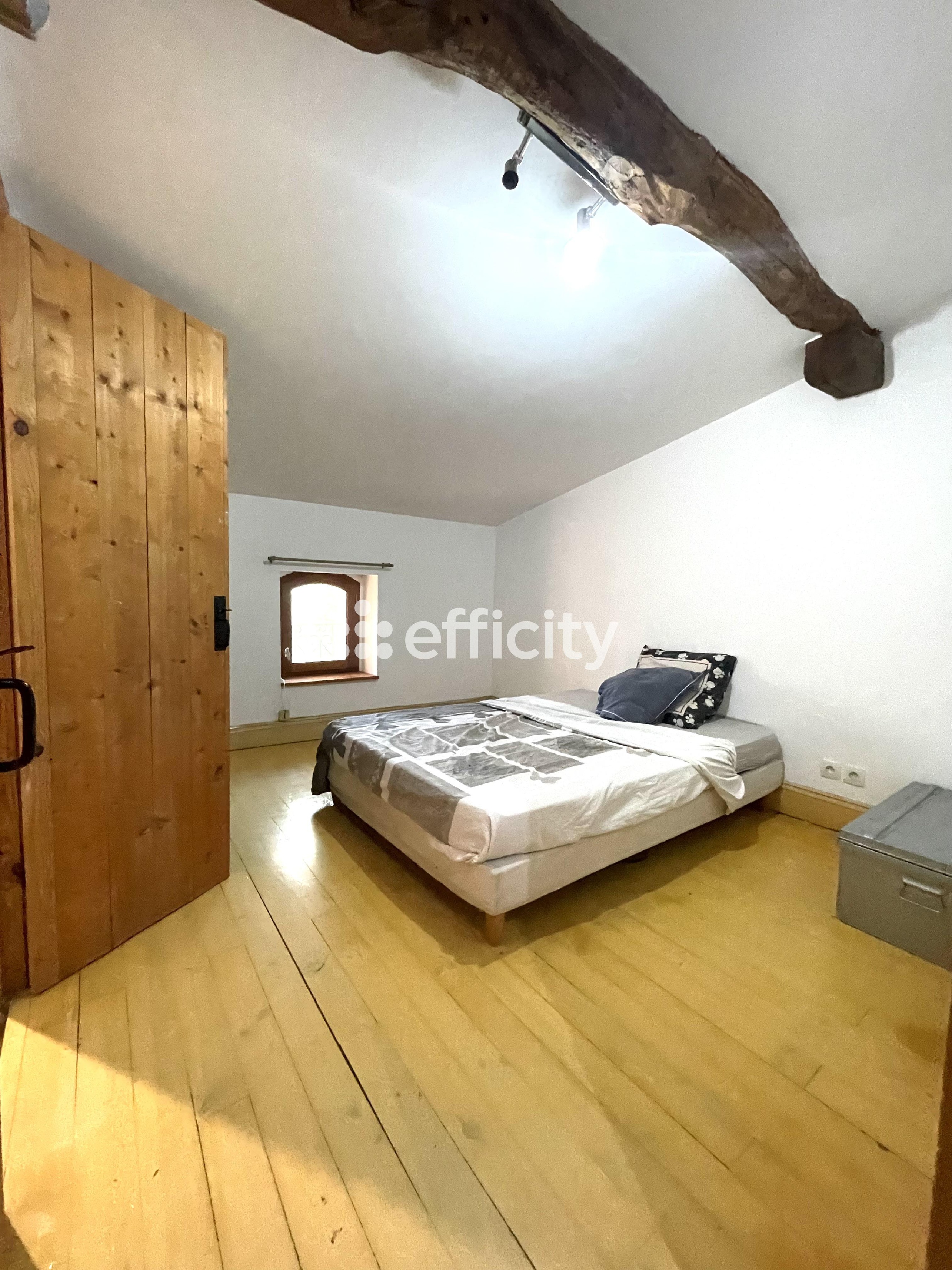 Achat immobilier Maison 9 pièces  388m2 à Saint-Amadou (09100) - Photo n°7
