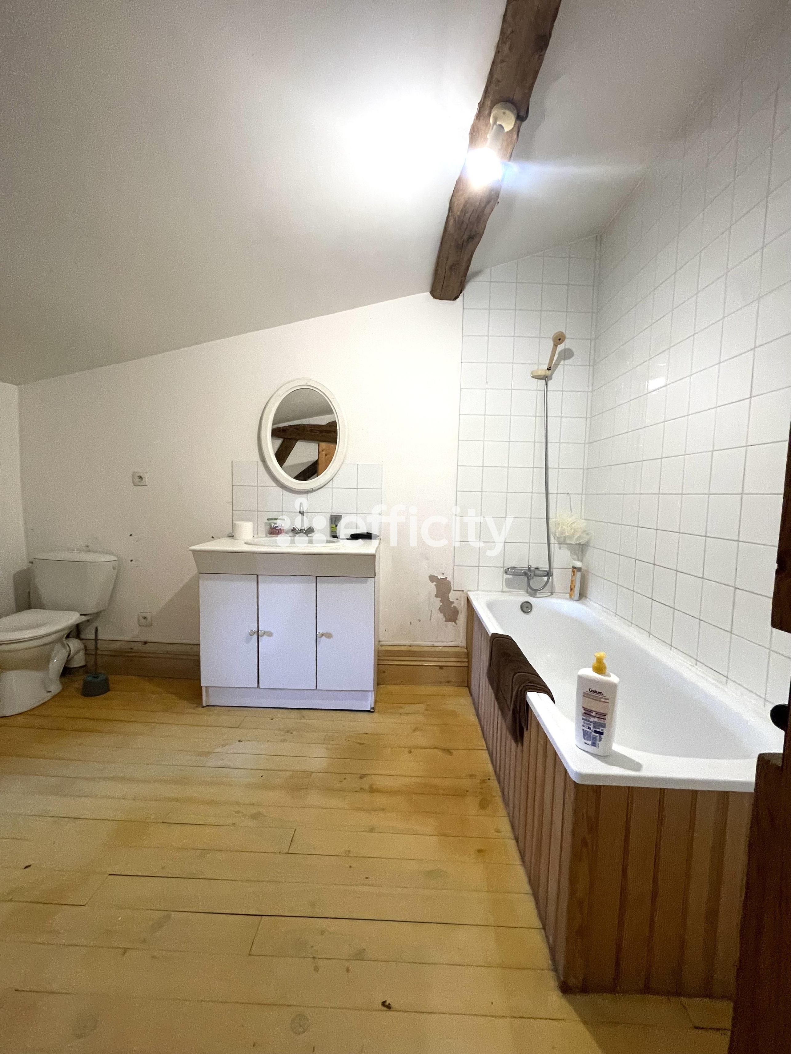 Achat immobilier Maison 9 pièces  388m2 à Saint-Amadou (09100) - Photo n°8