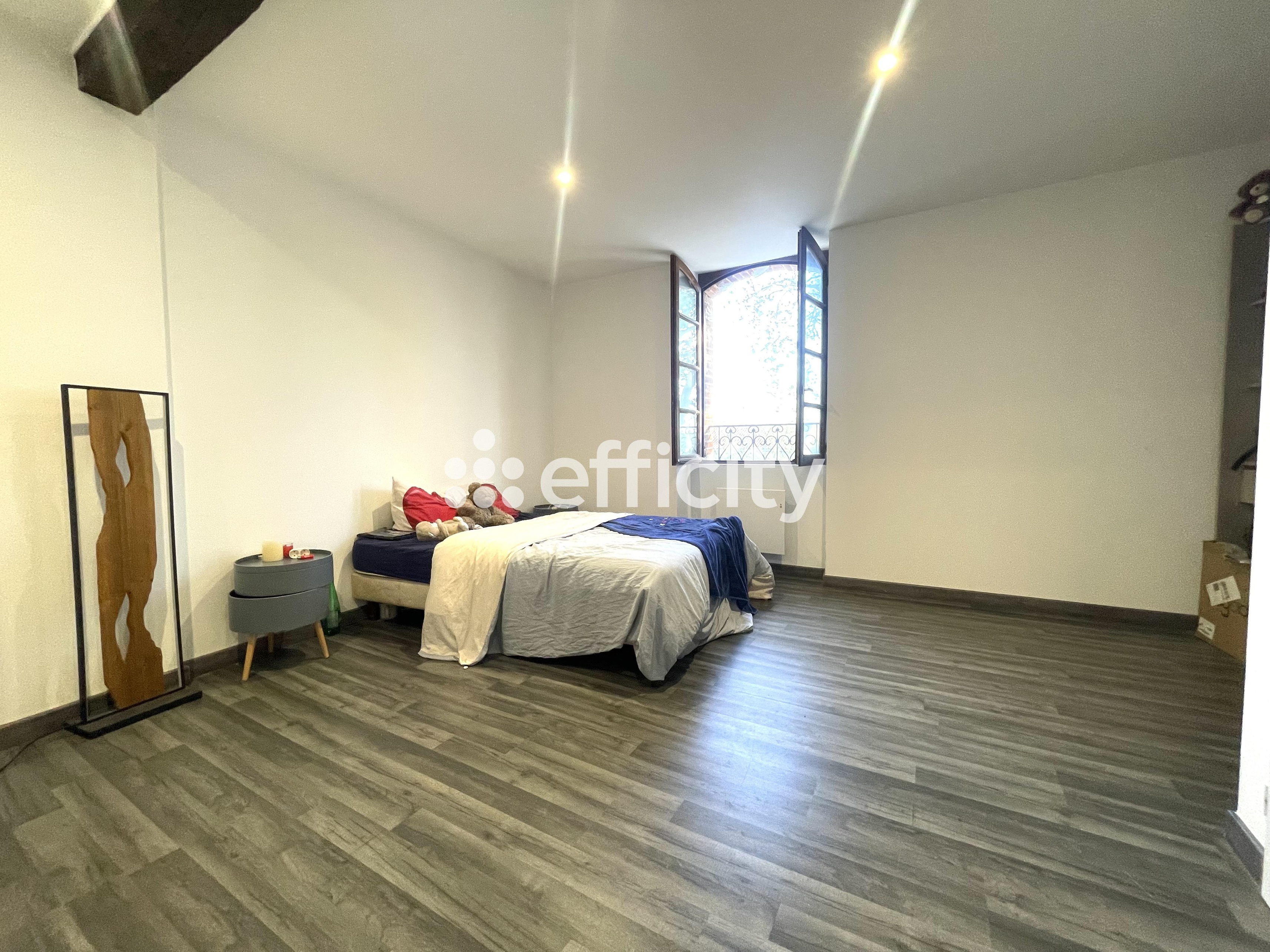 Achat immobilier Maison 9 pièces  388m2 à Saint-Amadou (09100) - Photo n°11