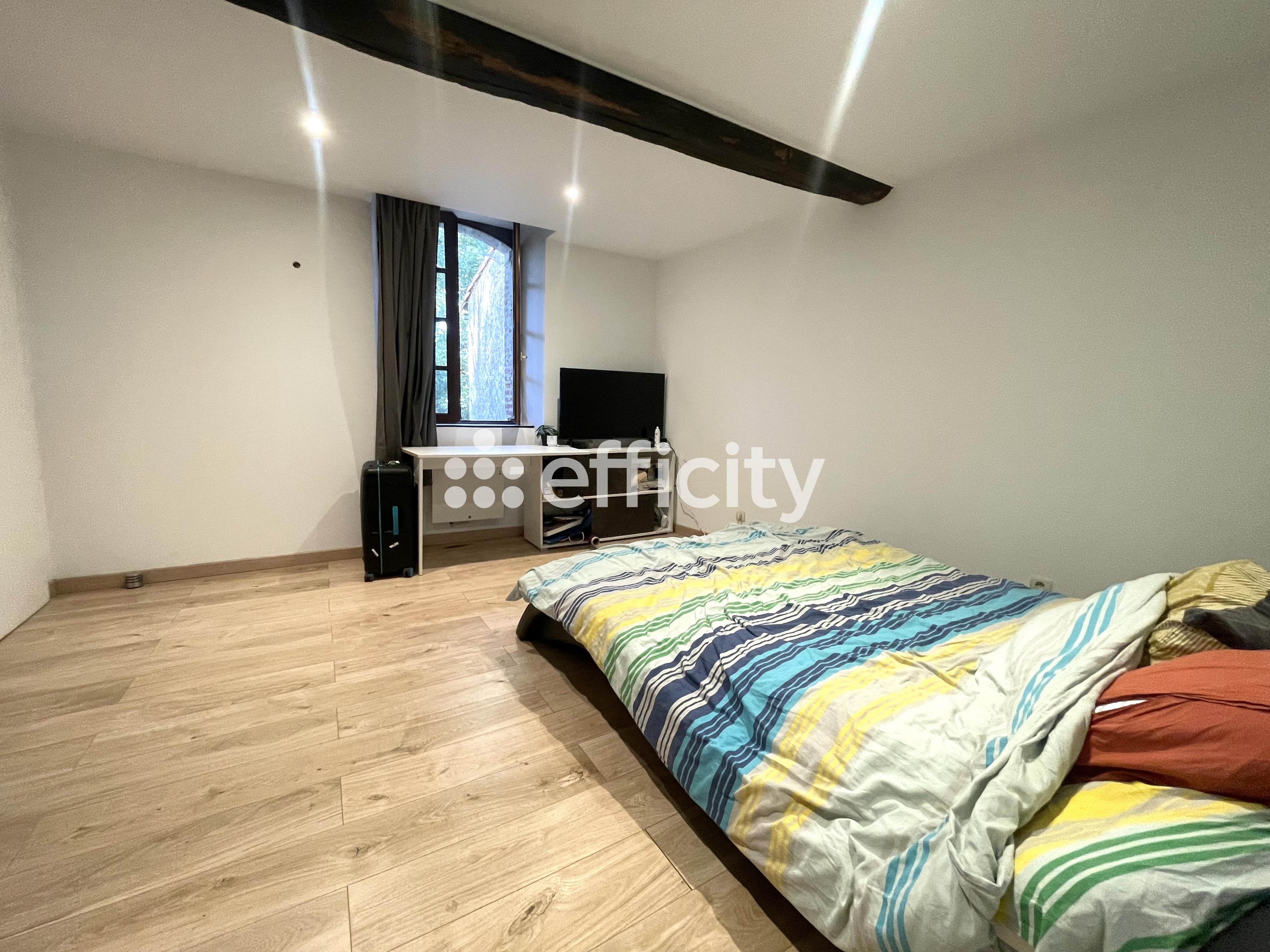 Achat immobilier Maison 9 pièces  388m2 à Saint-Amadou (09100) - Photo n°12