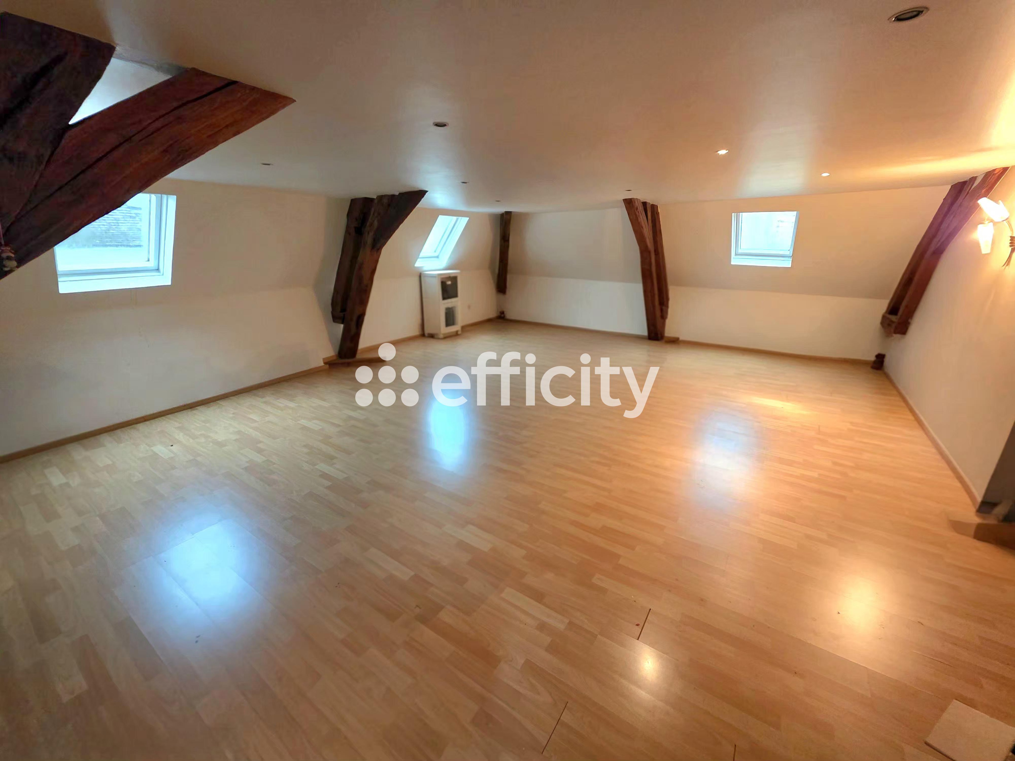 Achat immobilier Maison 11 pièces  267m2 à Château-Thierry (02400) - Photo n°13