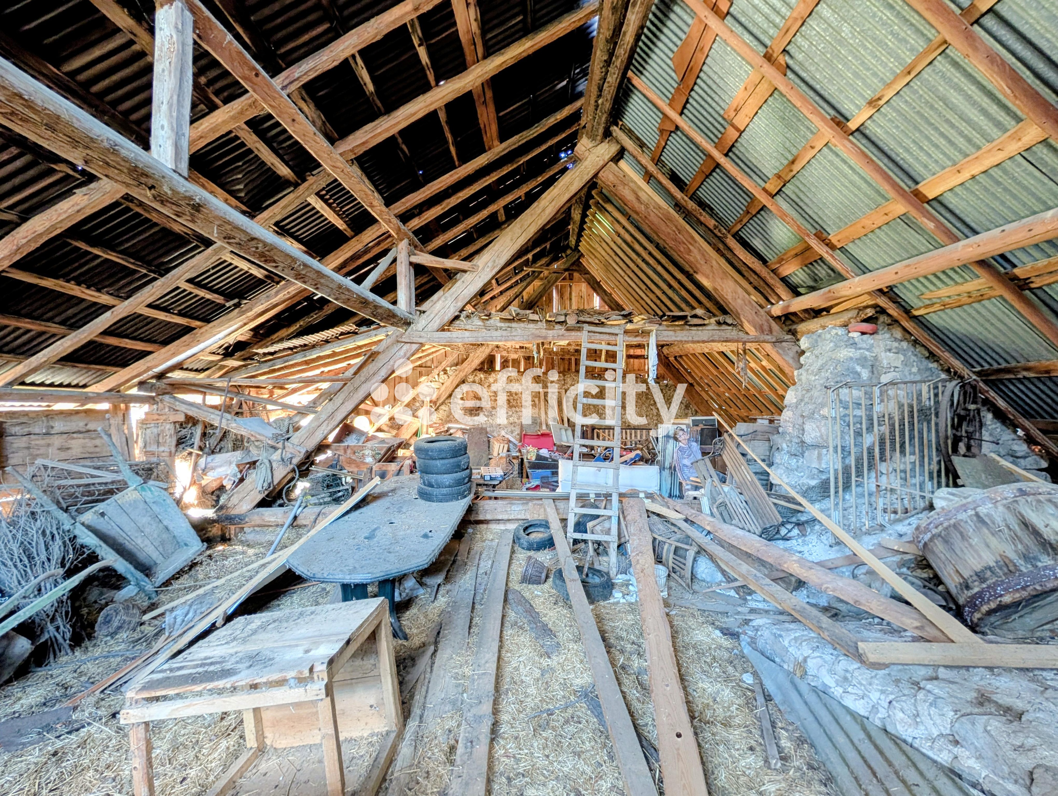 Achat immobilier Maison 3 pièces  100m2 à Beaufin (38970) - Photo n°4