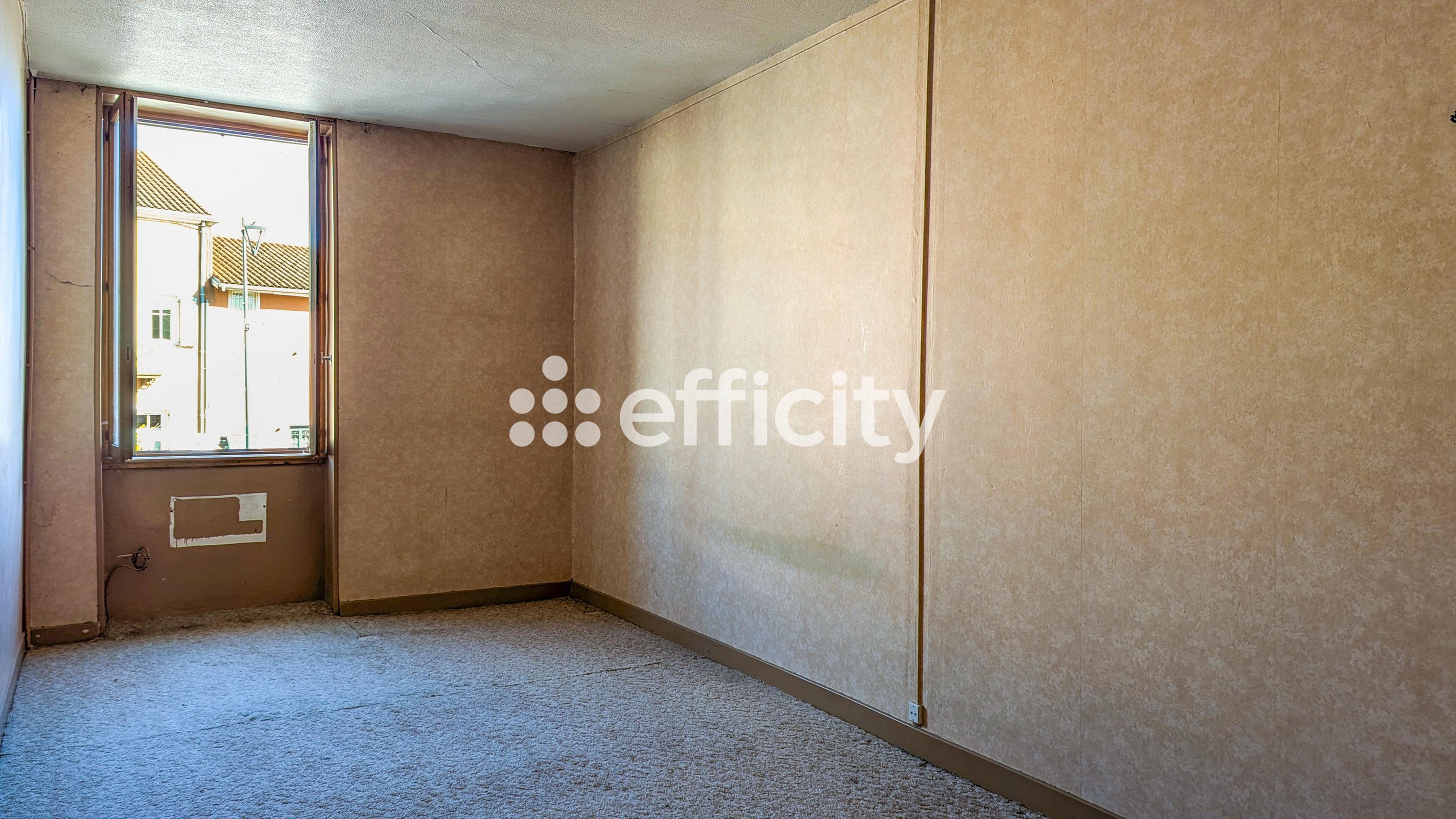 Achat immobilier Maison 6 pièces  153m2 à Pont-de-Vaux (01190) - Photo n°10