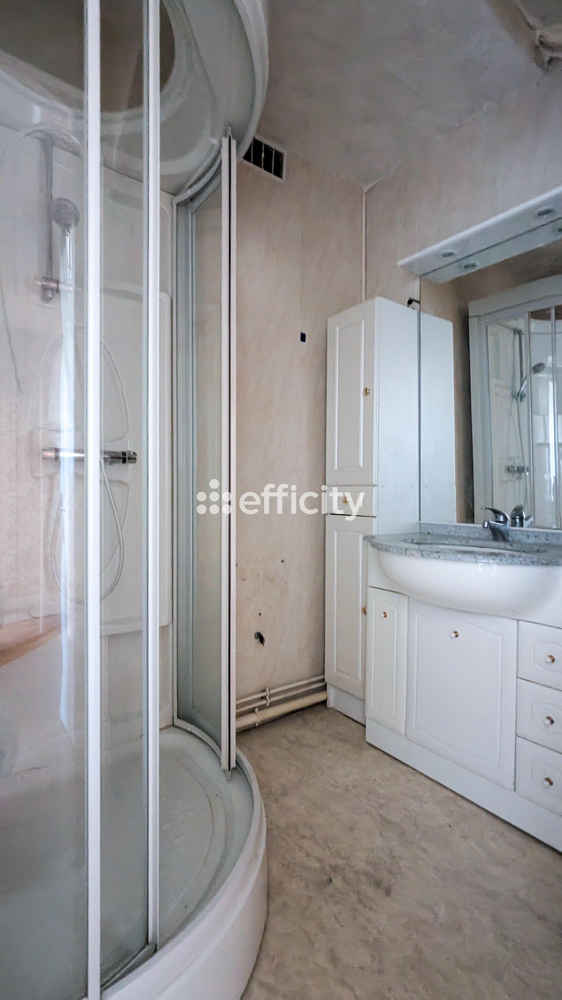 Achat immobilier Maison 6 pièces  153m2 à Pont-de-Vaux (01190) - Photo n°12