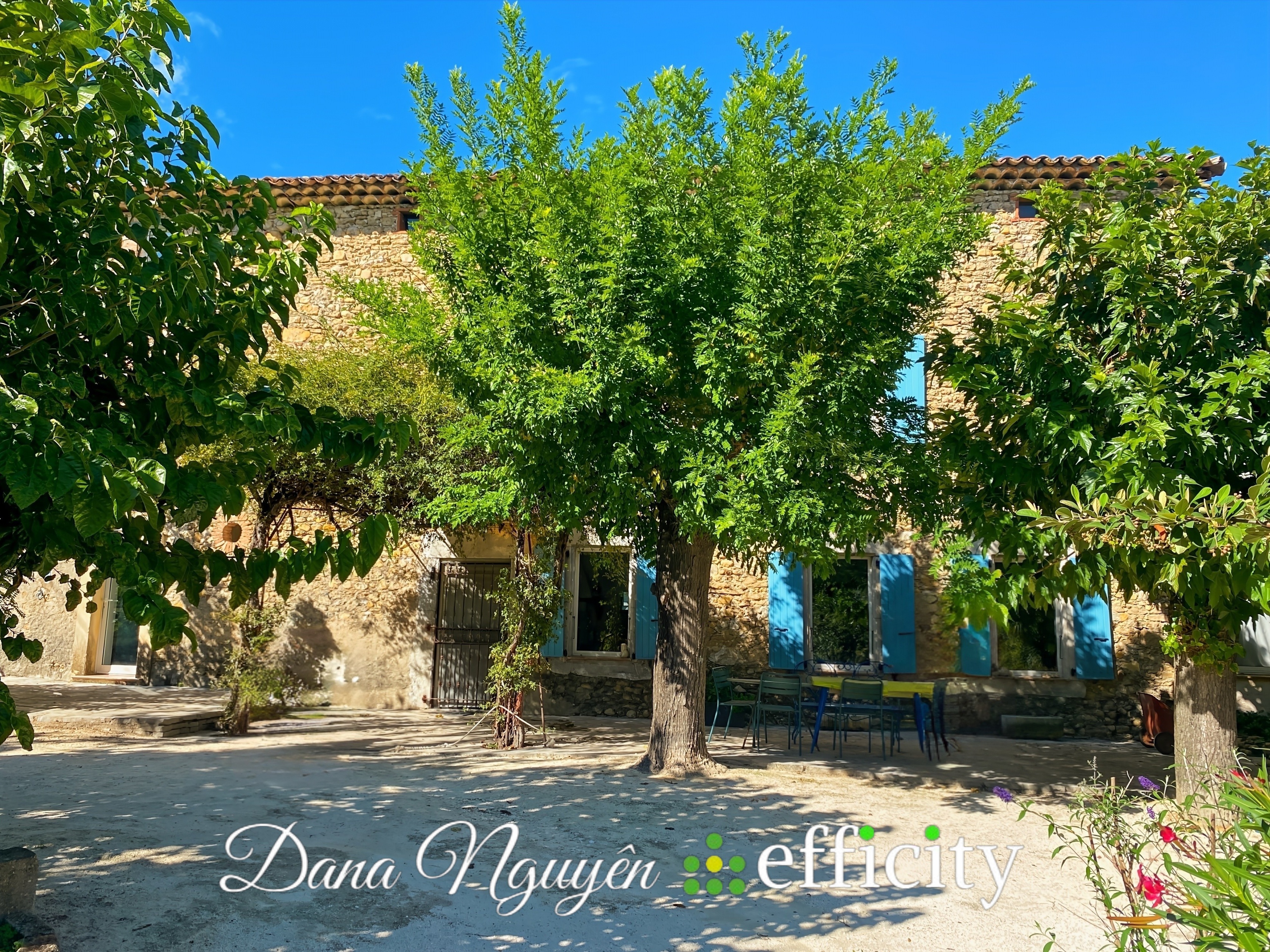 Achat immobilier Maison 9 pièces  259m2 à Boisset-et-Gaujac (30140) - Photo n°4