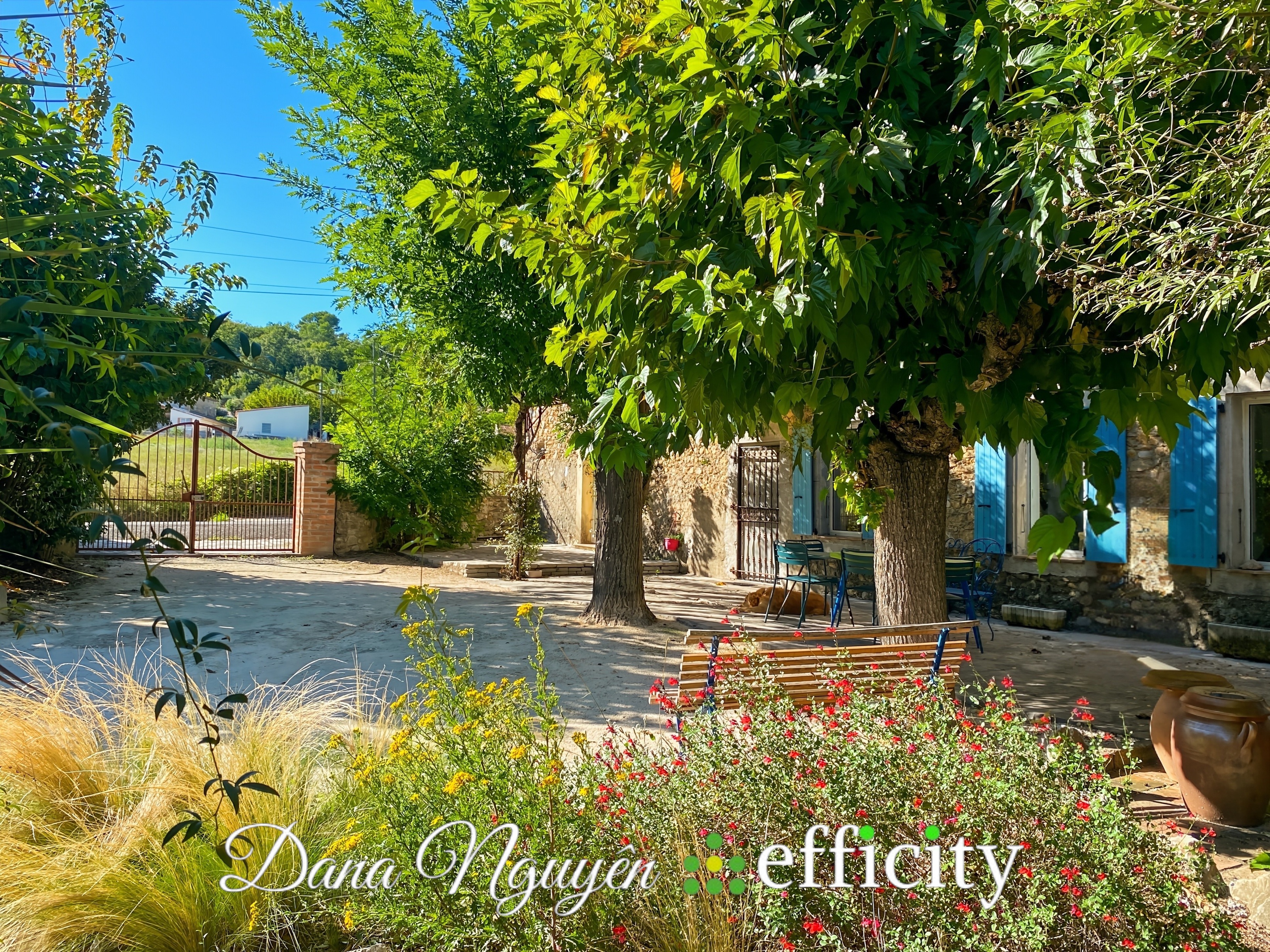 Achat immobilier Maison 9 pièces  259m2 à Boisset-et-Gaujac (30140) - Photo n°20