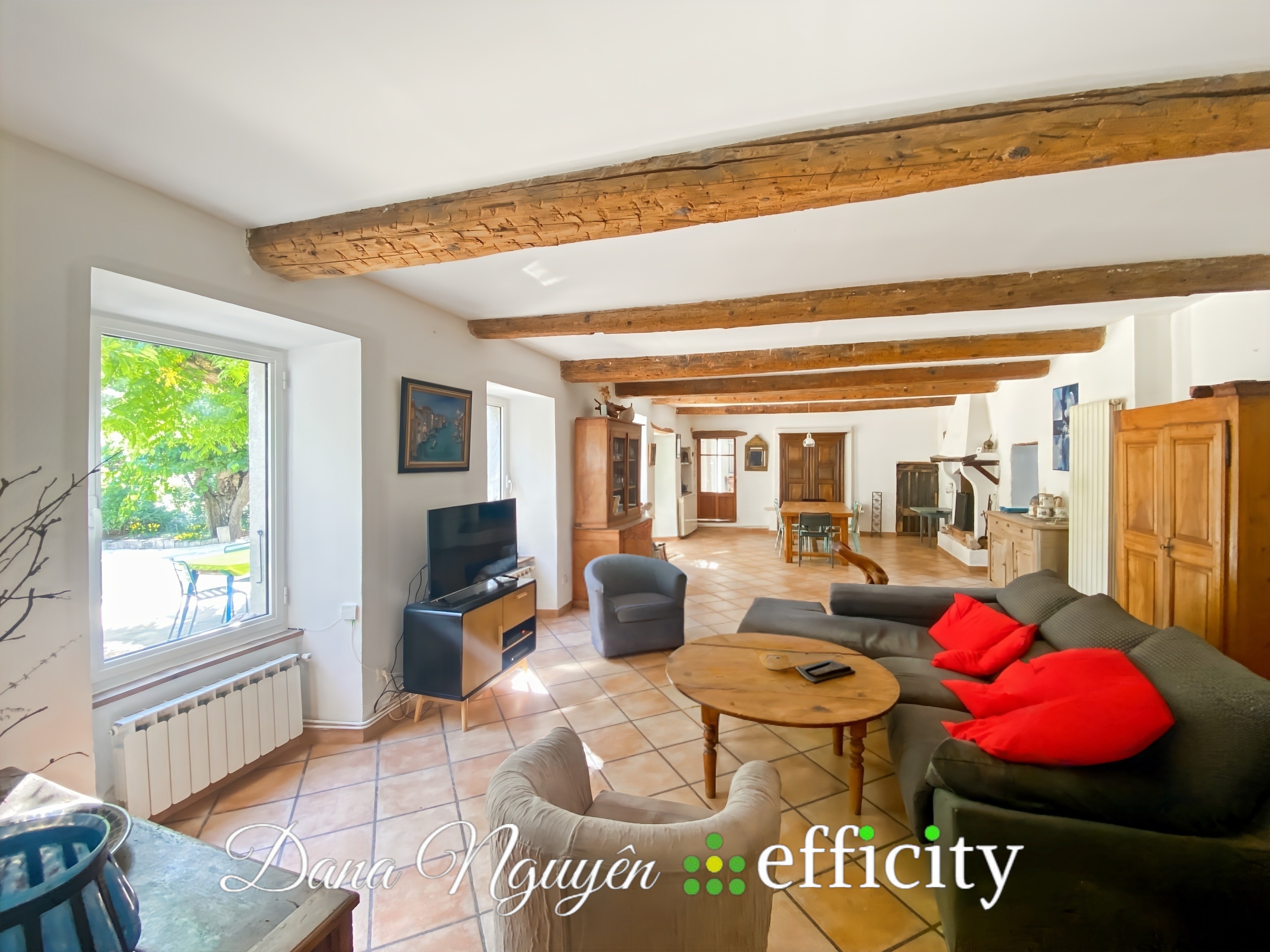 Achat immobilier Maison 9 pièces  259m2 à Boisset-et-Gaujac (30140) - Photo n°6