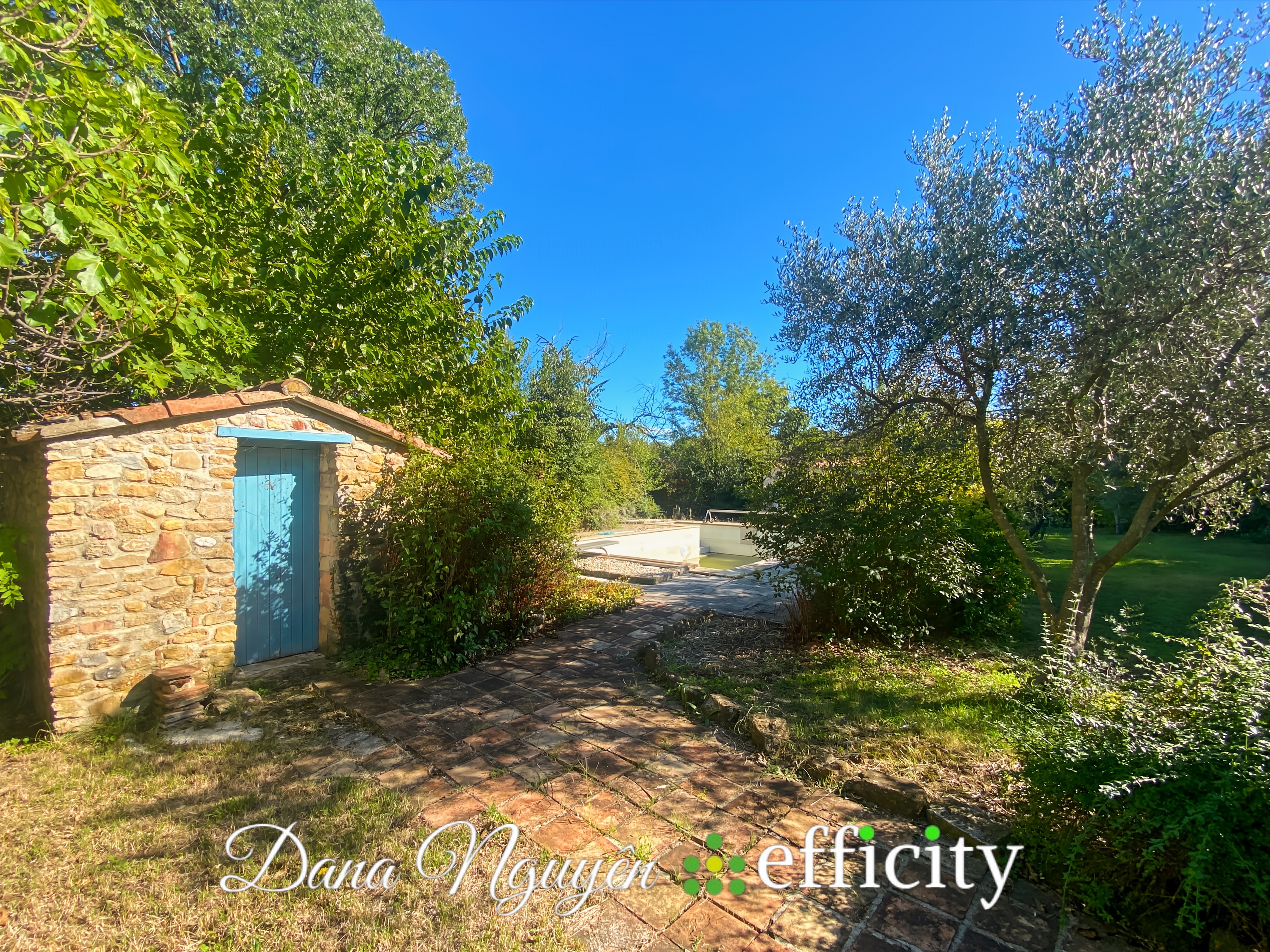 Achat immobilier Maison 9 pièces  259m2 à Boisset-et-Gaujac (30140) - Photo n°5