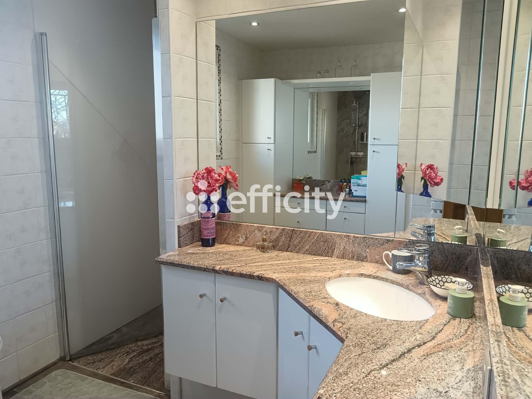 Achat immobilier Maison 7 pièces  203m2 à Saint-Just-Saint-Rambert (42170) - Photo n°13