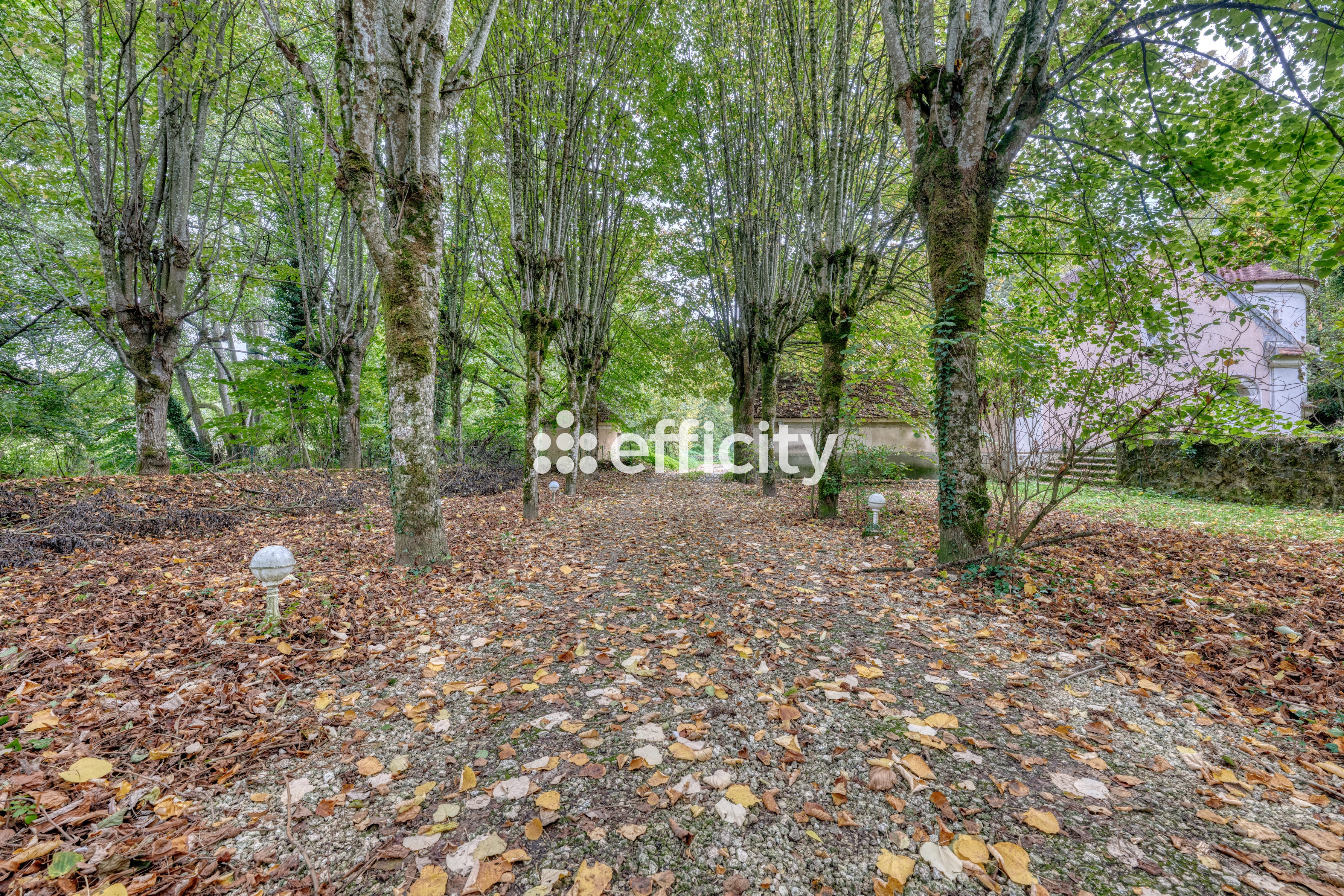 Achat immobilier Maison 8 pièces  270m2 à Coulommiers (77120) - Photo n°22