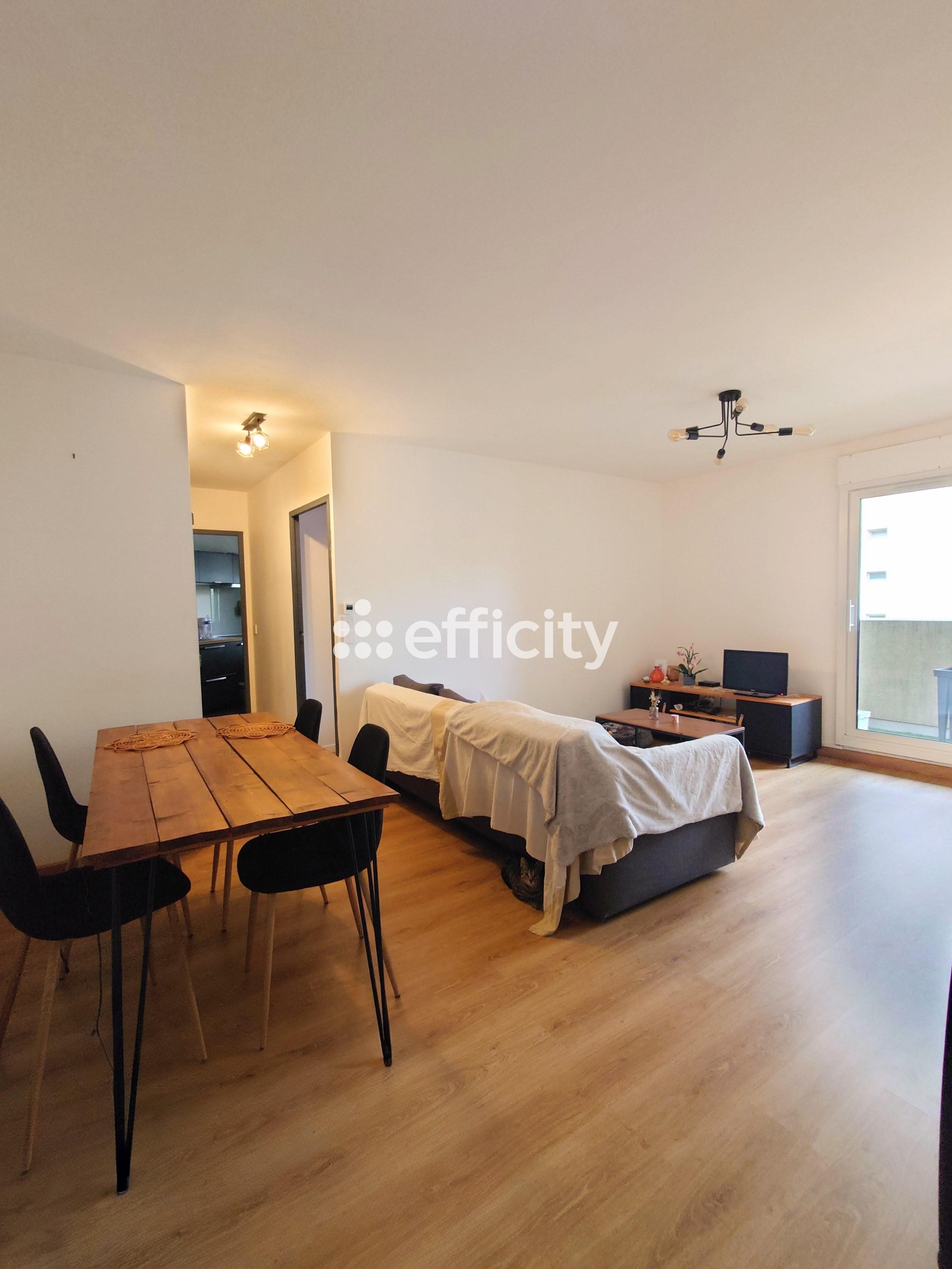 appartement 2 pièces - 47m2 à Lyon (69007)