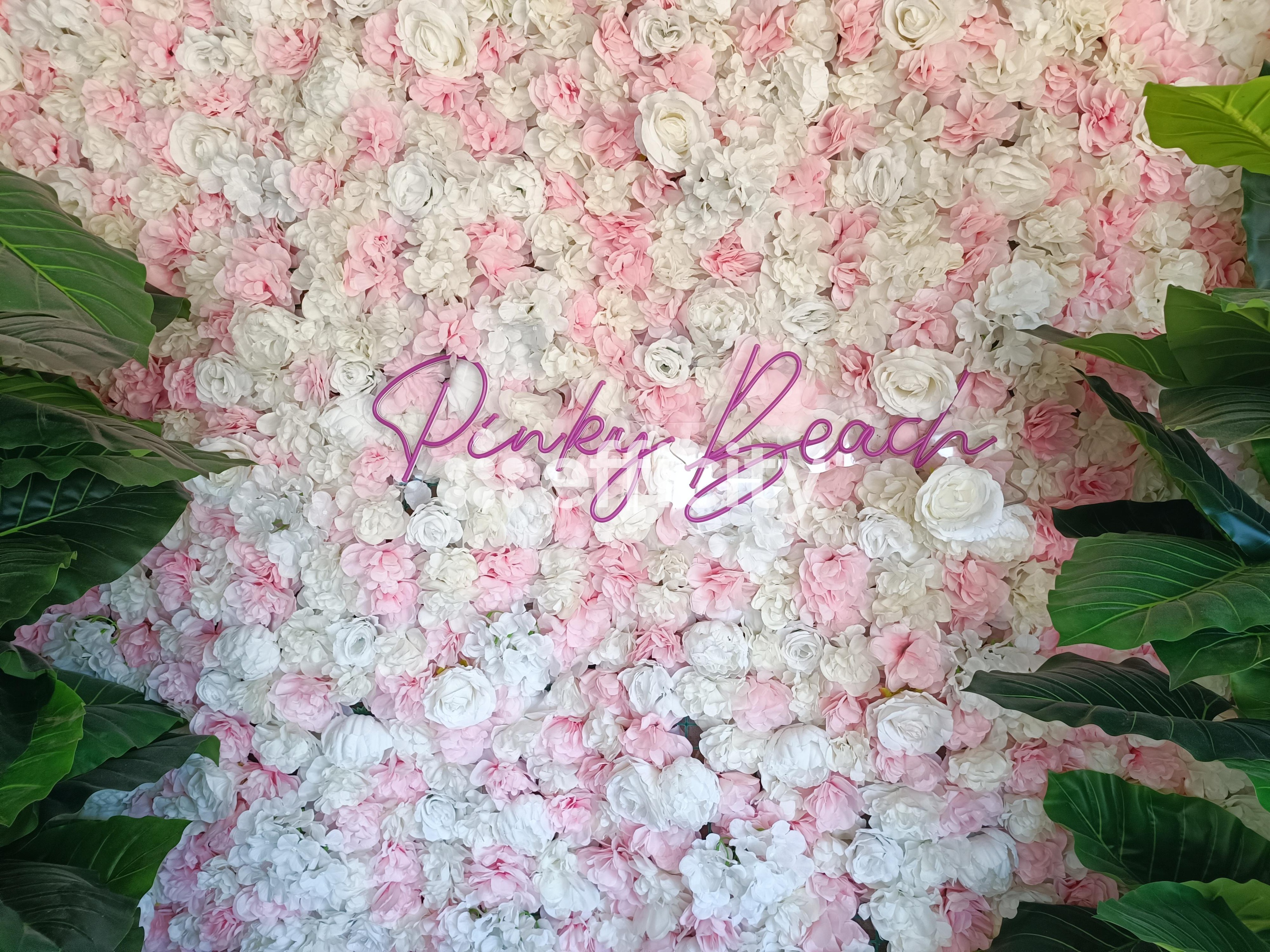 Achat immobilier Fonds de commerce   100m2 à Valras-Plage (34350) - Photo n°4