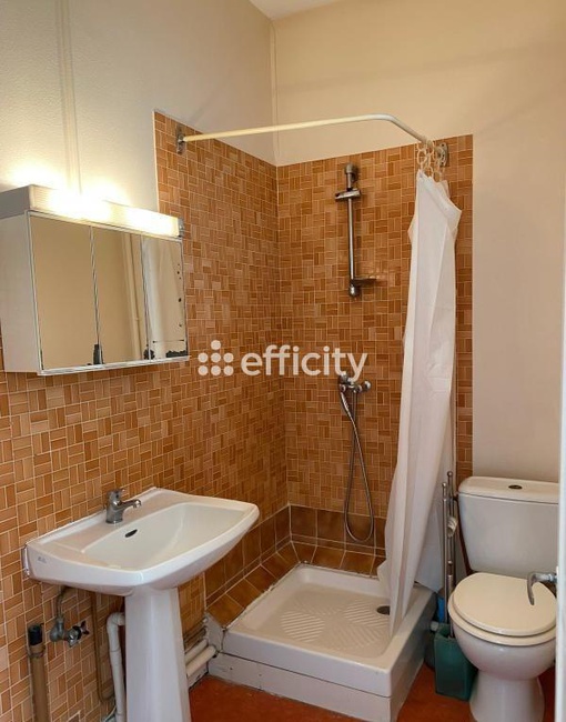 Achat immobilier Appartement 7 pièces  223m2 à Montoire-sur-le-Loir (41800) - Photo n°14