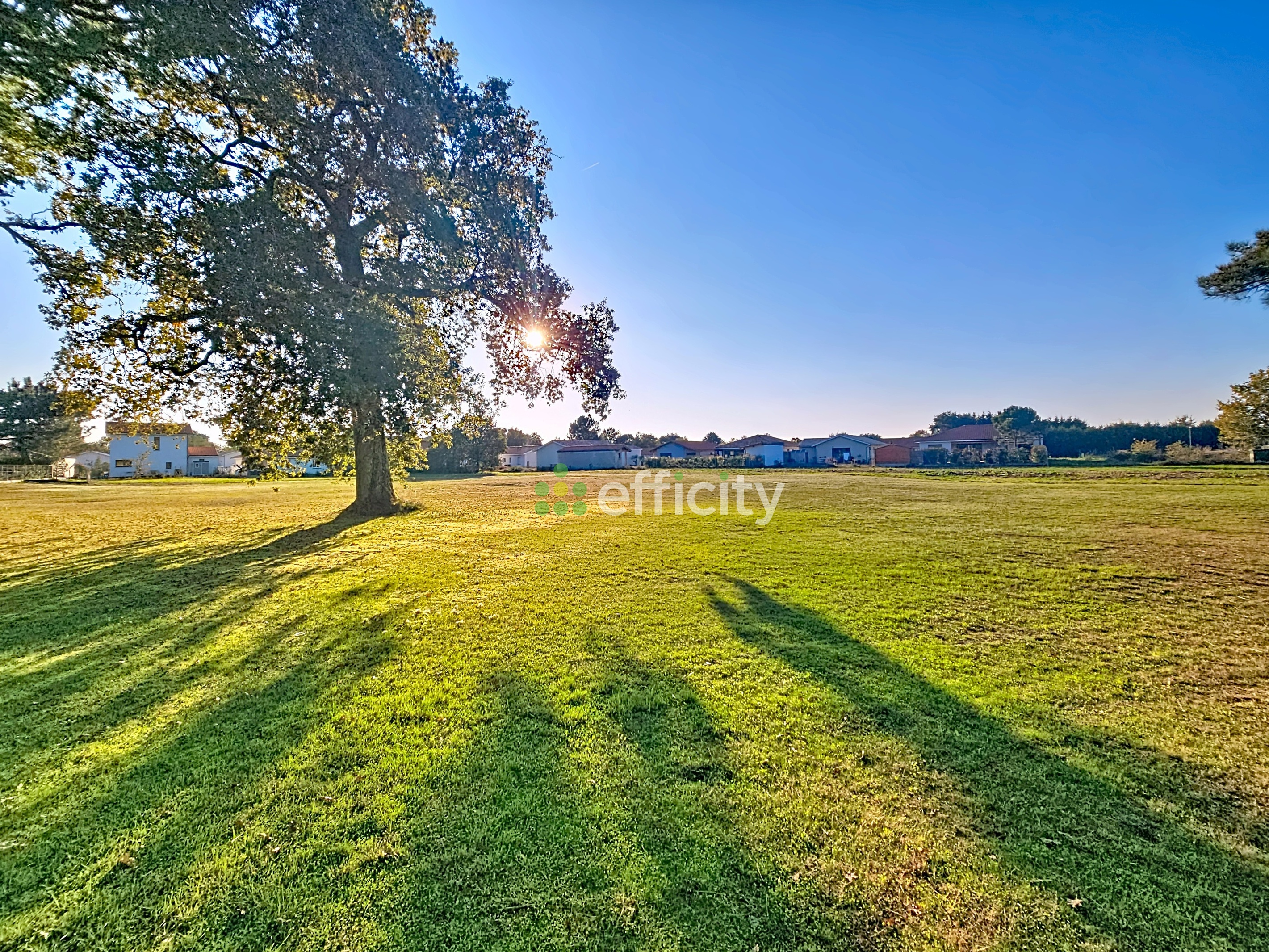 Achat immobilier Terrain   6939m2 à Bias (40170) - Photo n°1