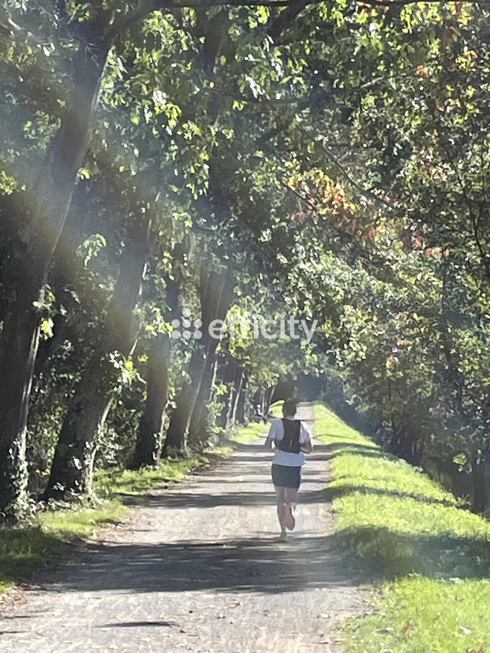 maison 8 pièces - 167m2 à Rennes (35700)