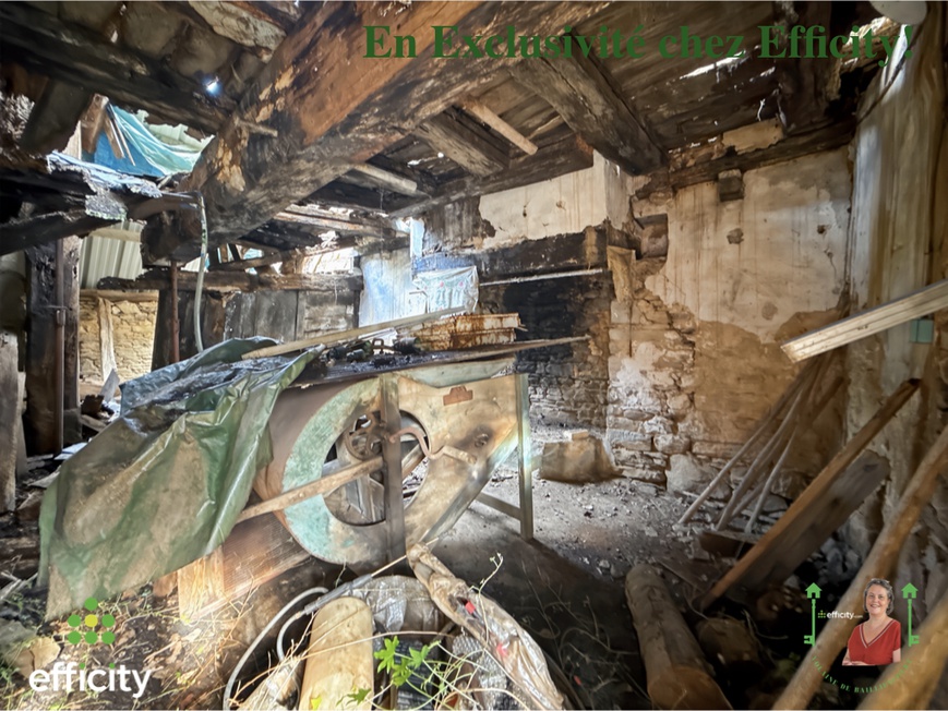 Achat immobilier Maison 6 pièces  160m2 à Vitré (35500) - Photo n°6