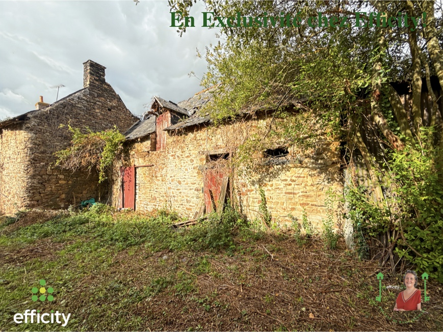 Achat immobilier Maison 6 pièces  160m2 à Vitré (35500) - Photo n°4