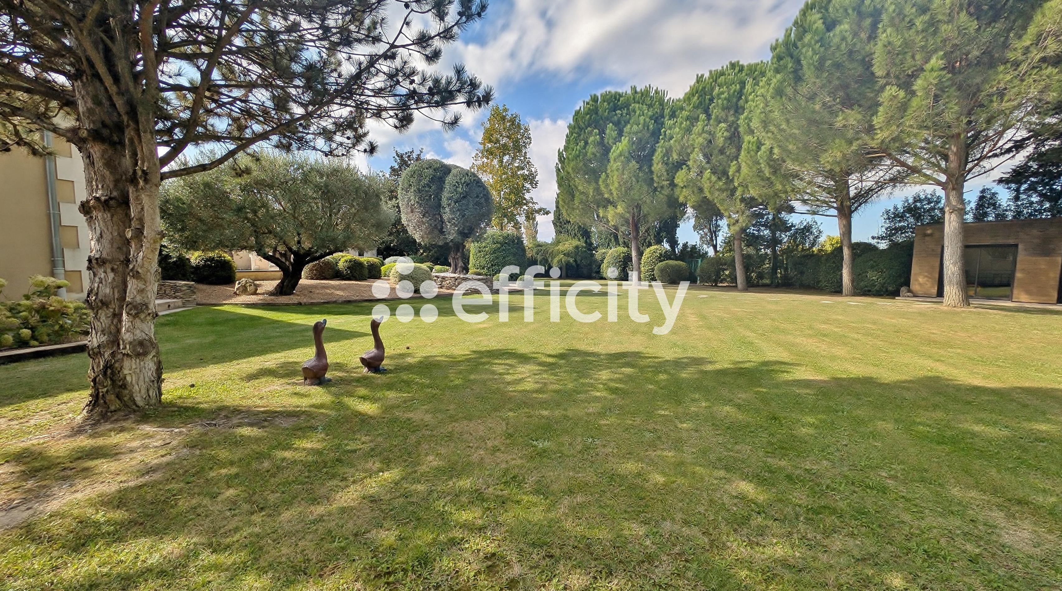 Achat immobilier Maison 7 pièces  300m2 à Châteaurenard (13160) - Photo n°13
