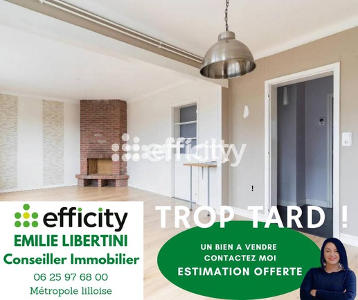 appartement 3 pièces - 62m2 à Lille (59000)