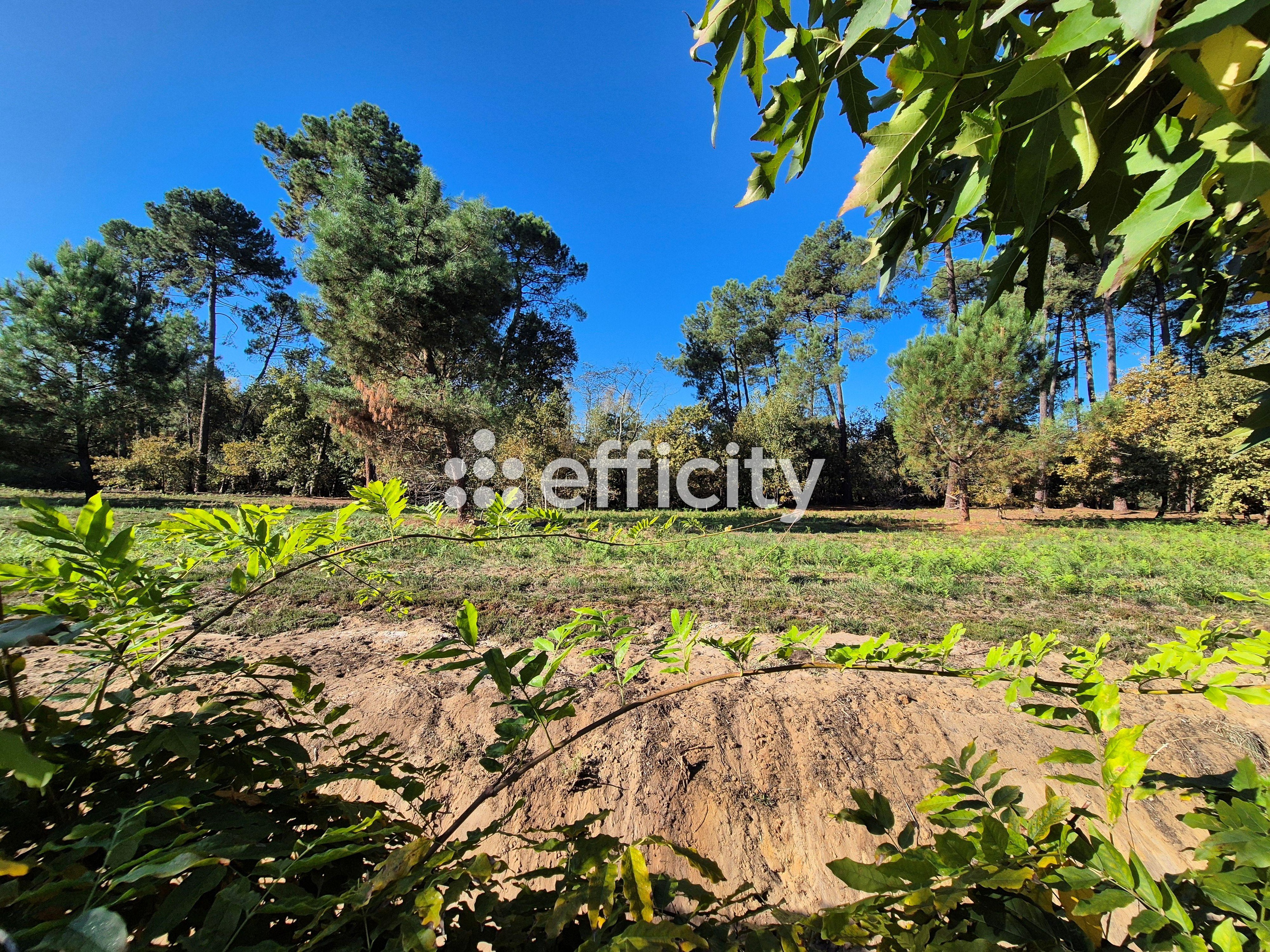 Achat immobilier Maison 4 pièces  92m2 à Saint-Jean-d'Illac (33127) - Photo n°11