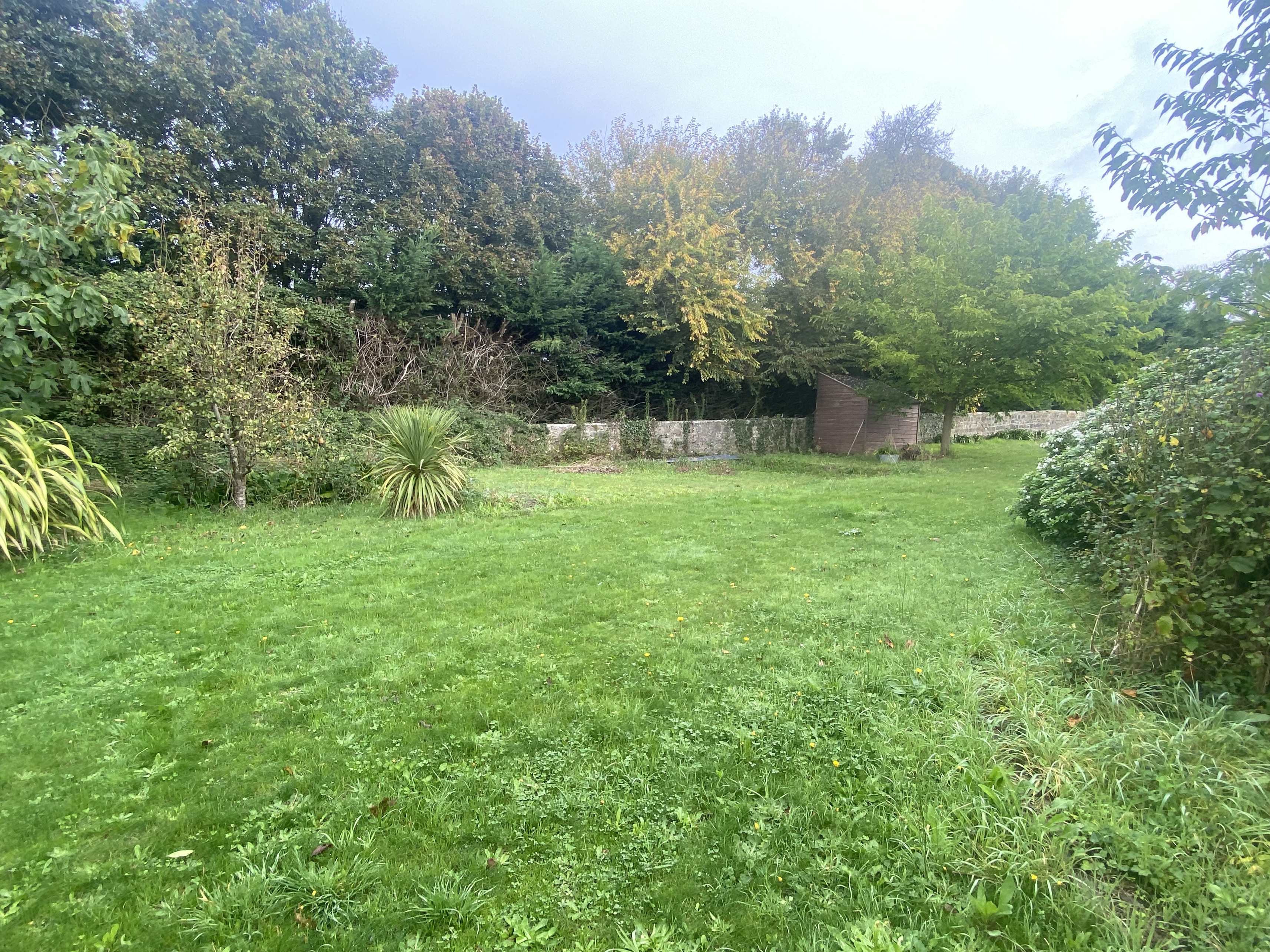 Achat immobilier Terrain   1424m2 à Hauteville-sur-Mer (50590) - Photo n°4