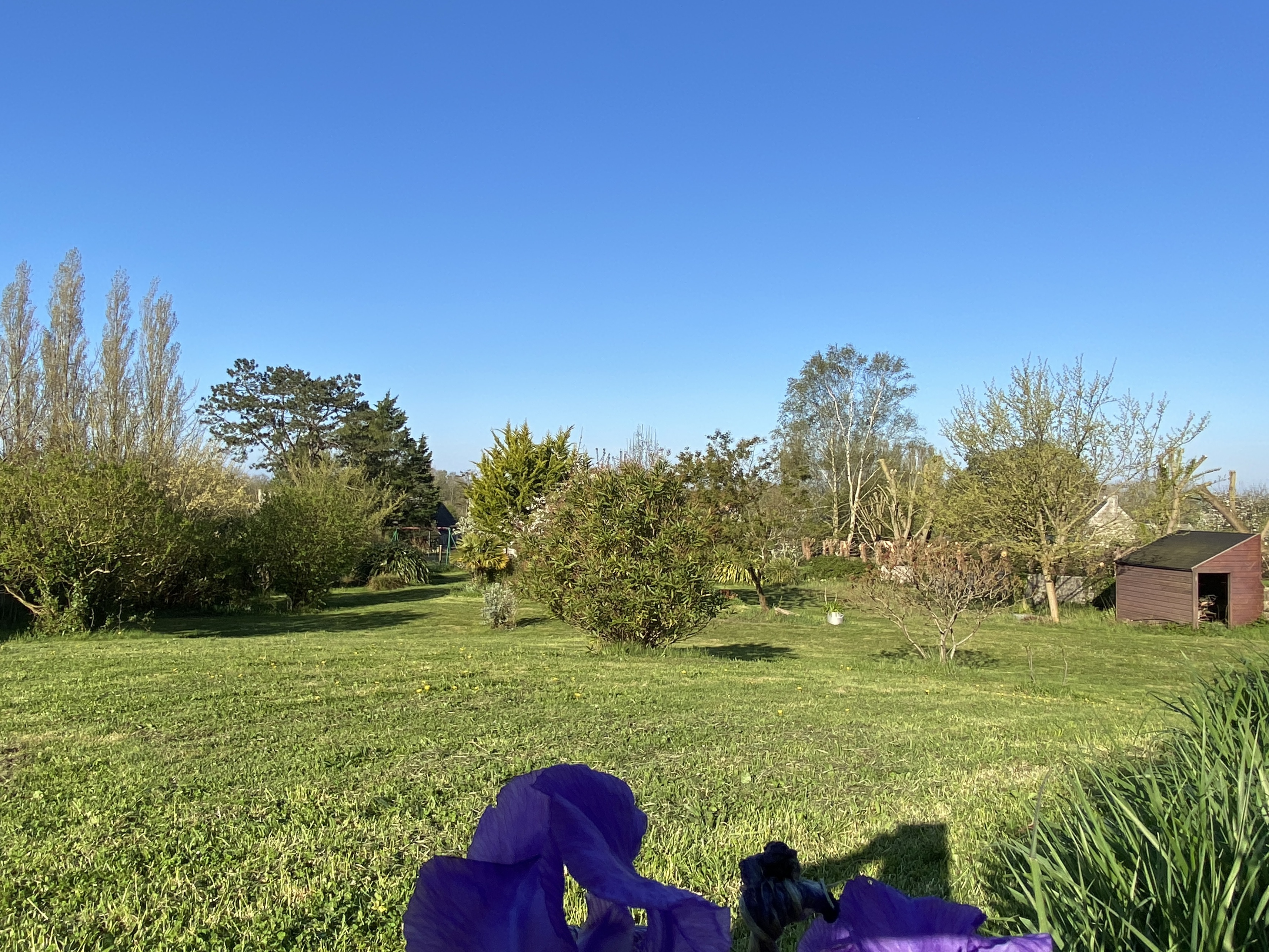 Achat immobilier Terrain   1424m2 à Hauteville-sur-Mer (50590) - Photo n°1